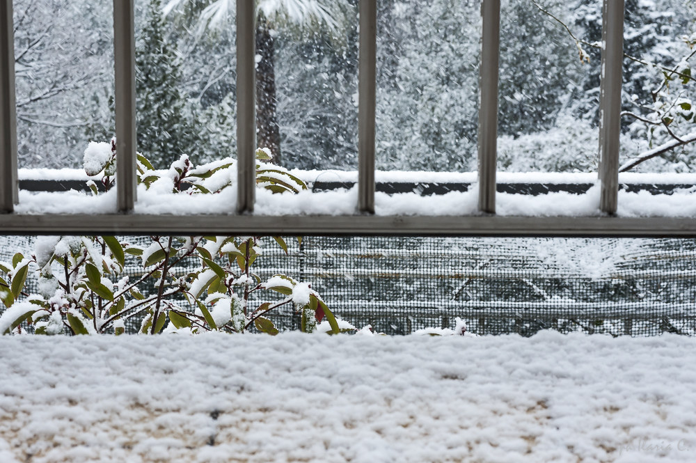 Neve da casa mia