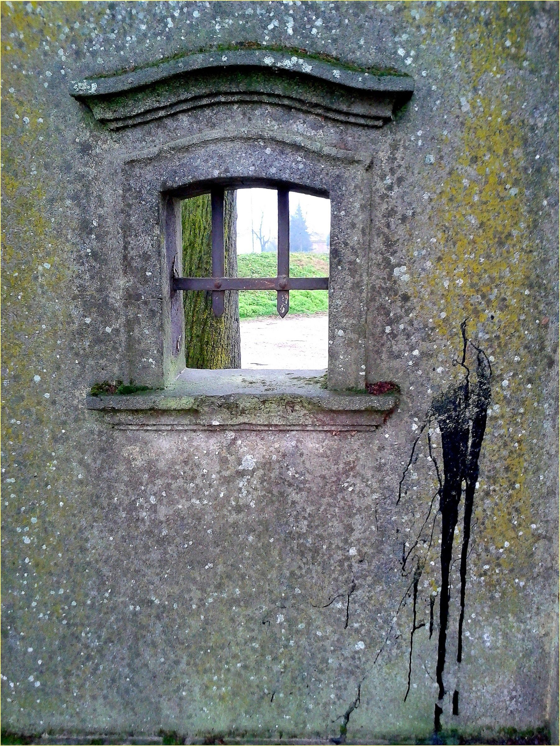 Muschi, licheni e piccole cose...