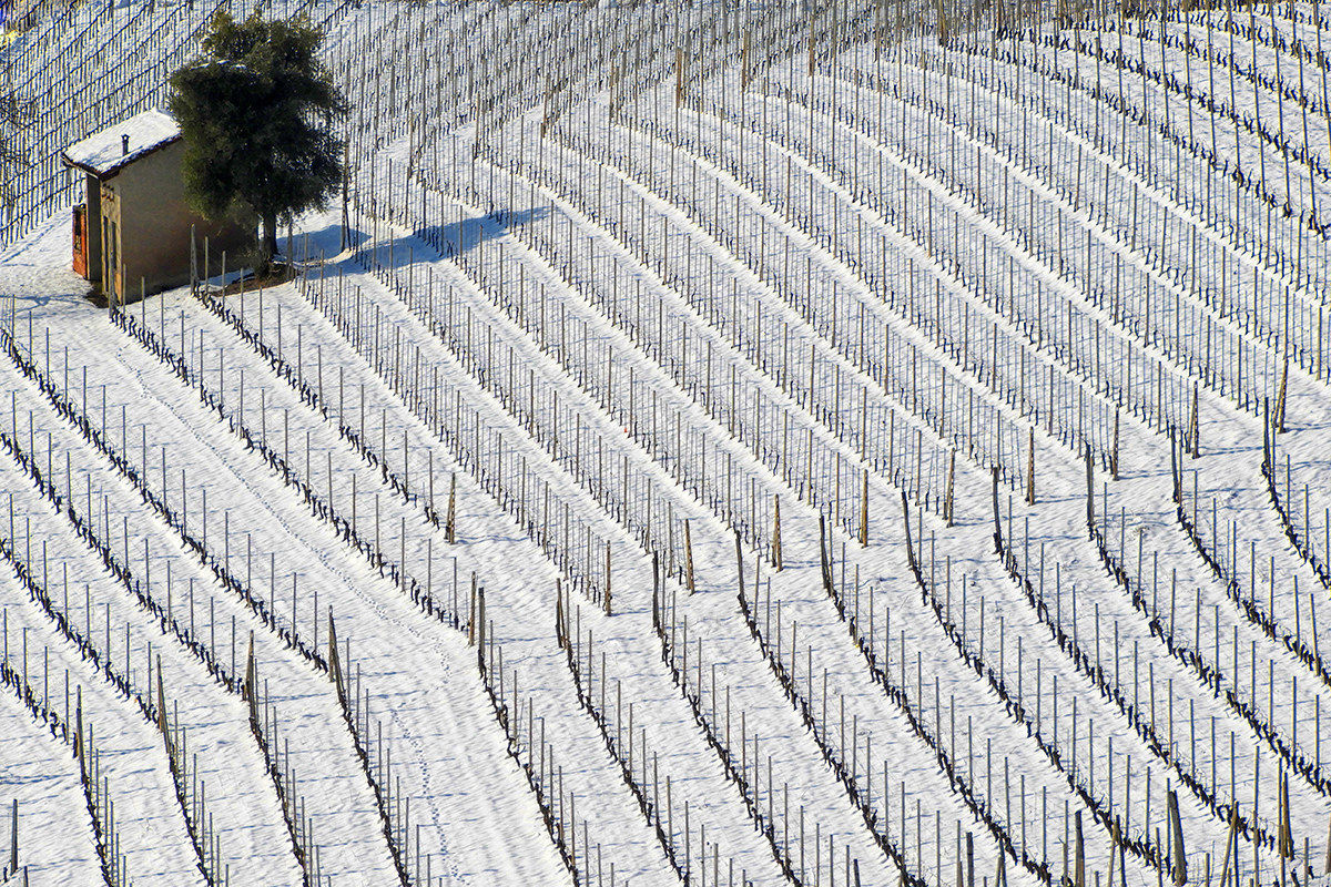 Langhe - winter geometries