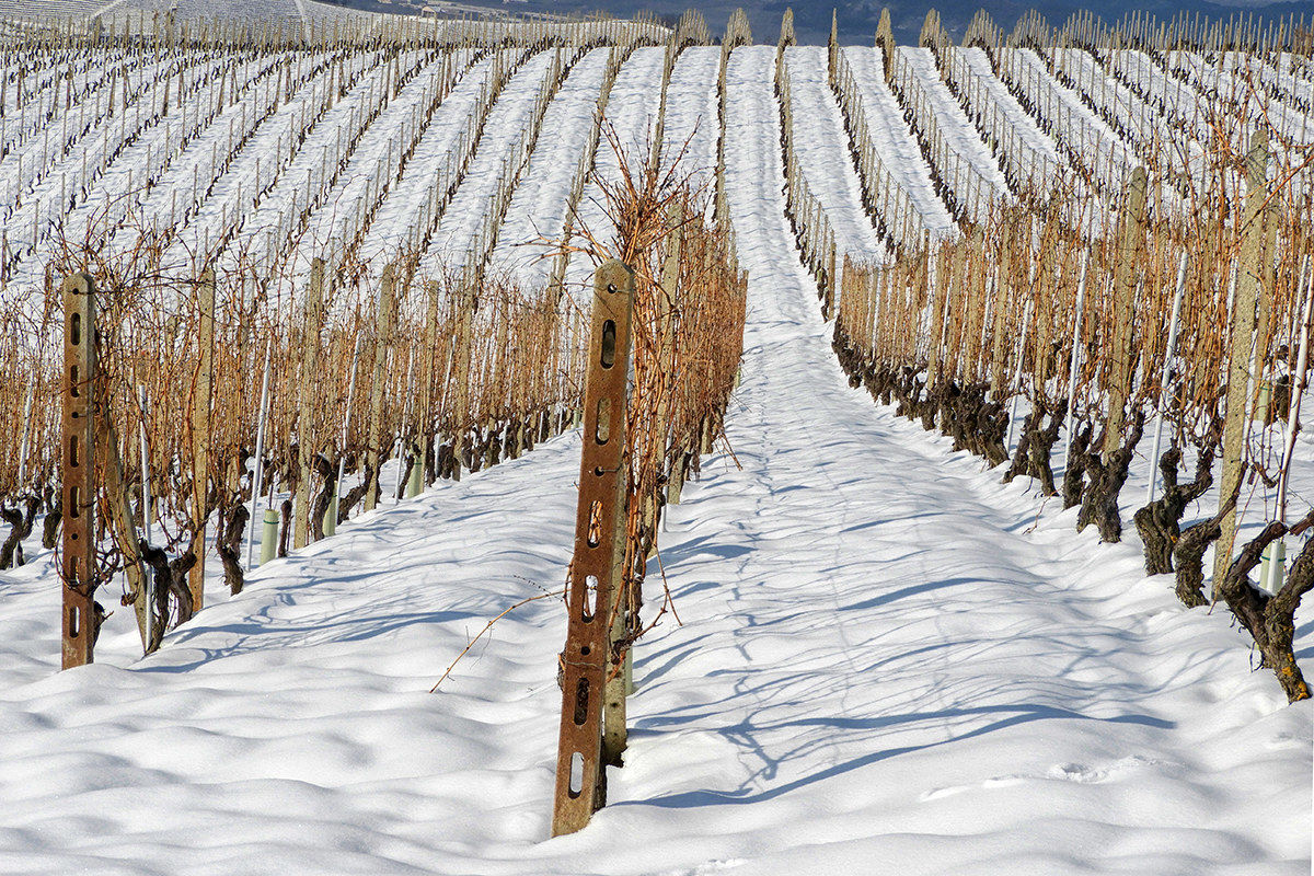 Langhe - creste innevate