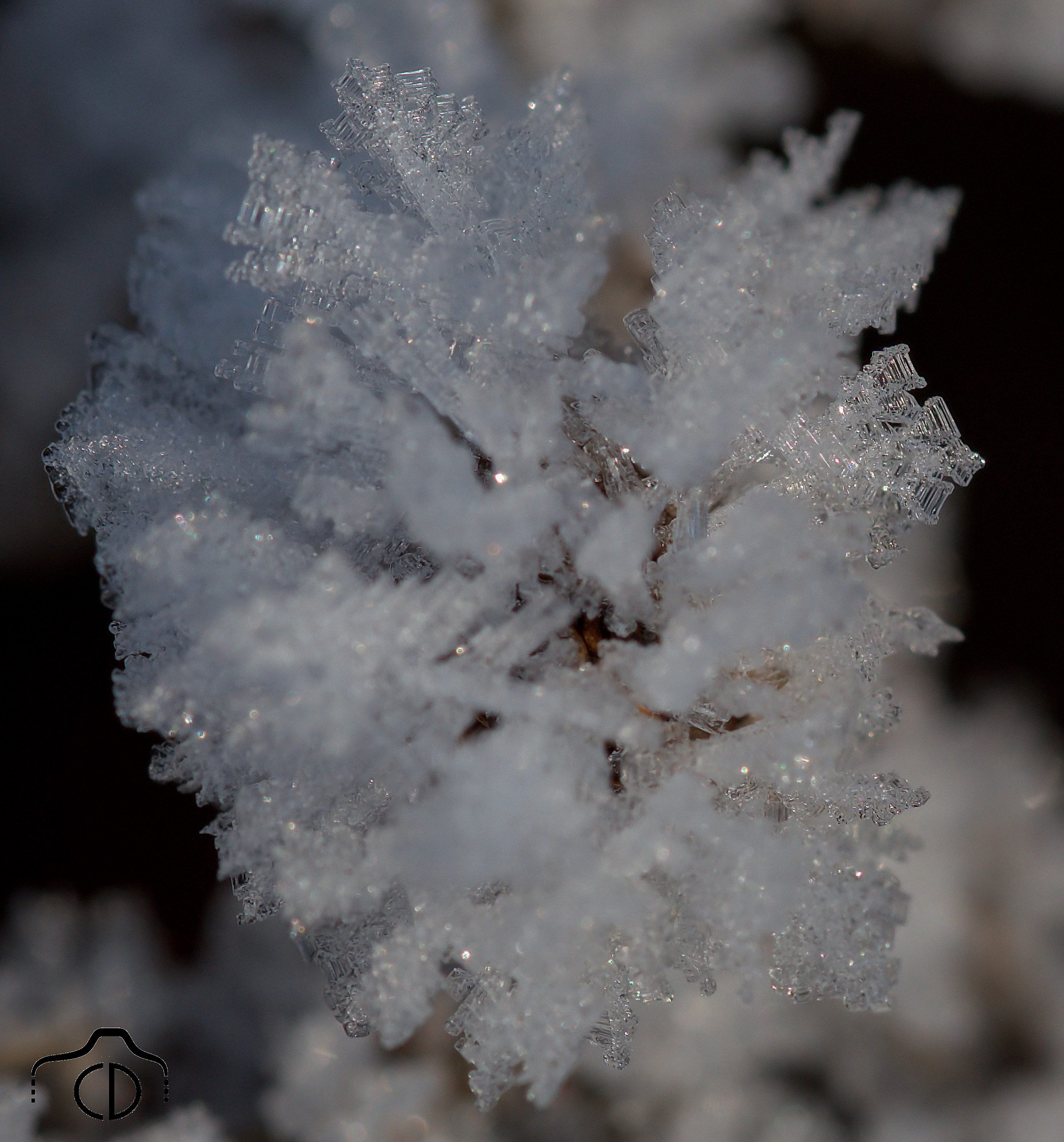 Cristalli di ghiaccio