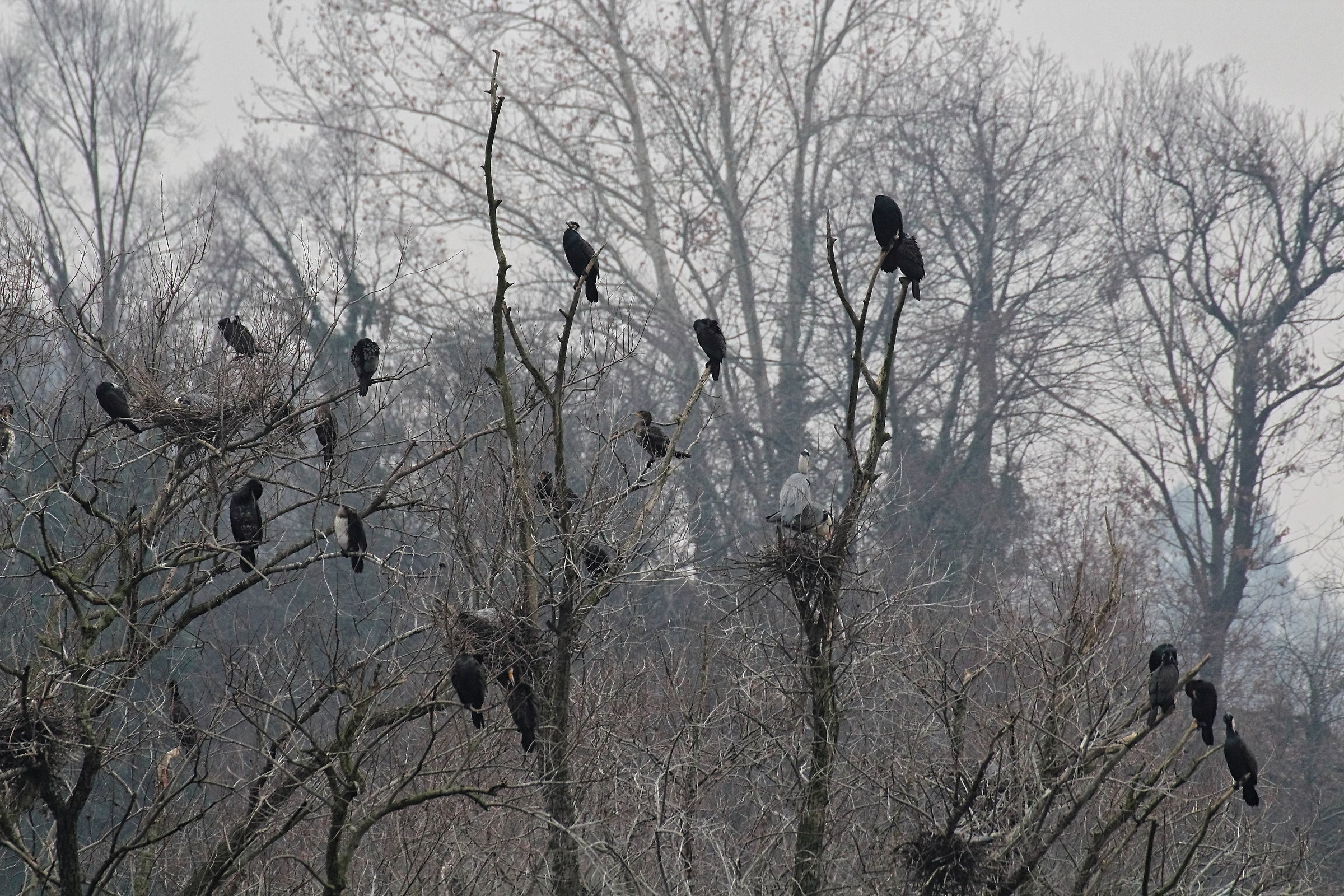 Residence Al Pennuto