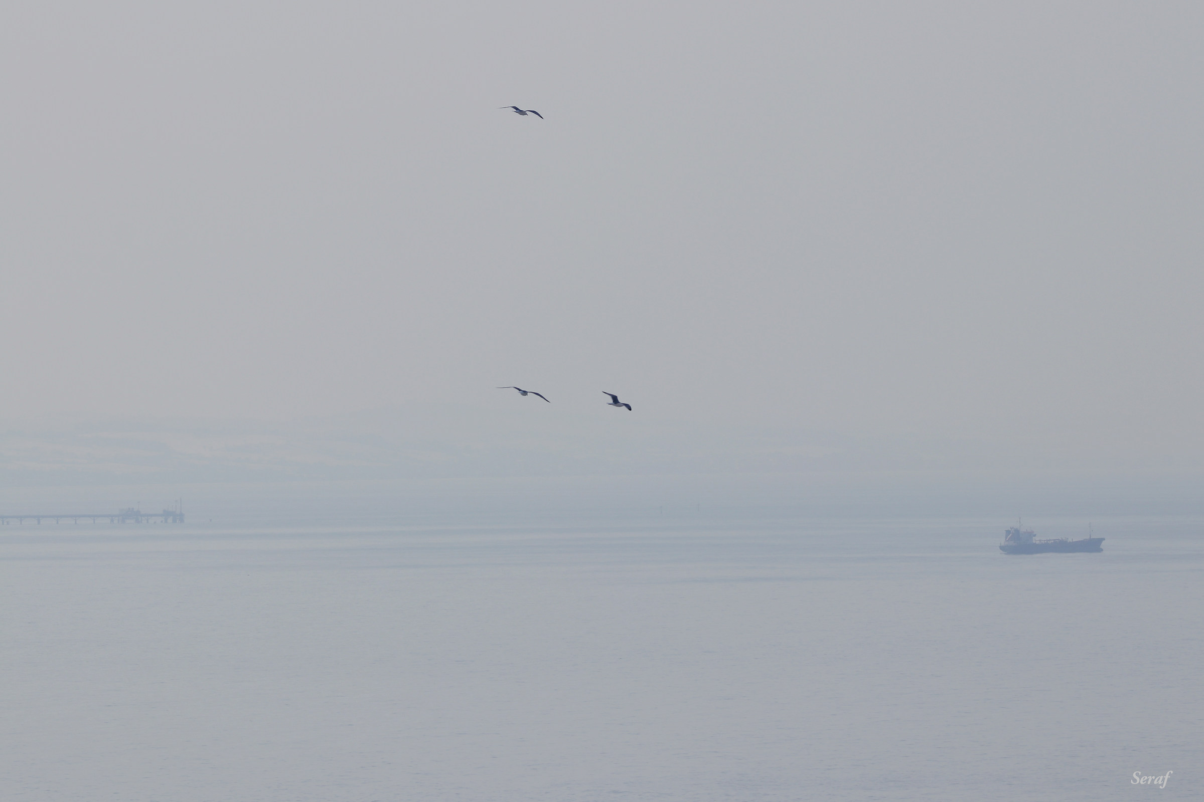Tra il cielo ed il mare