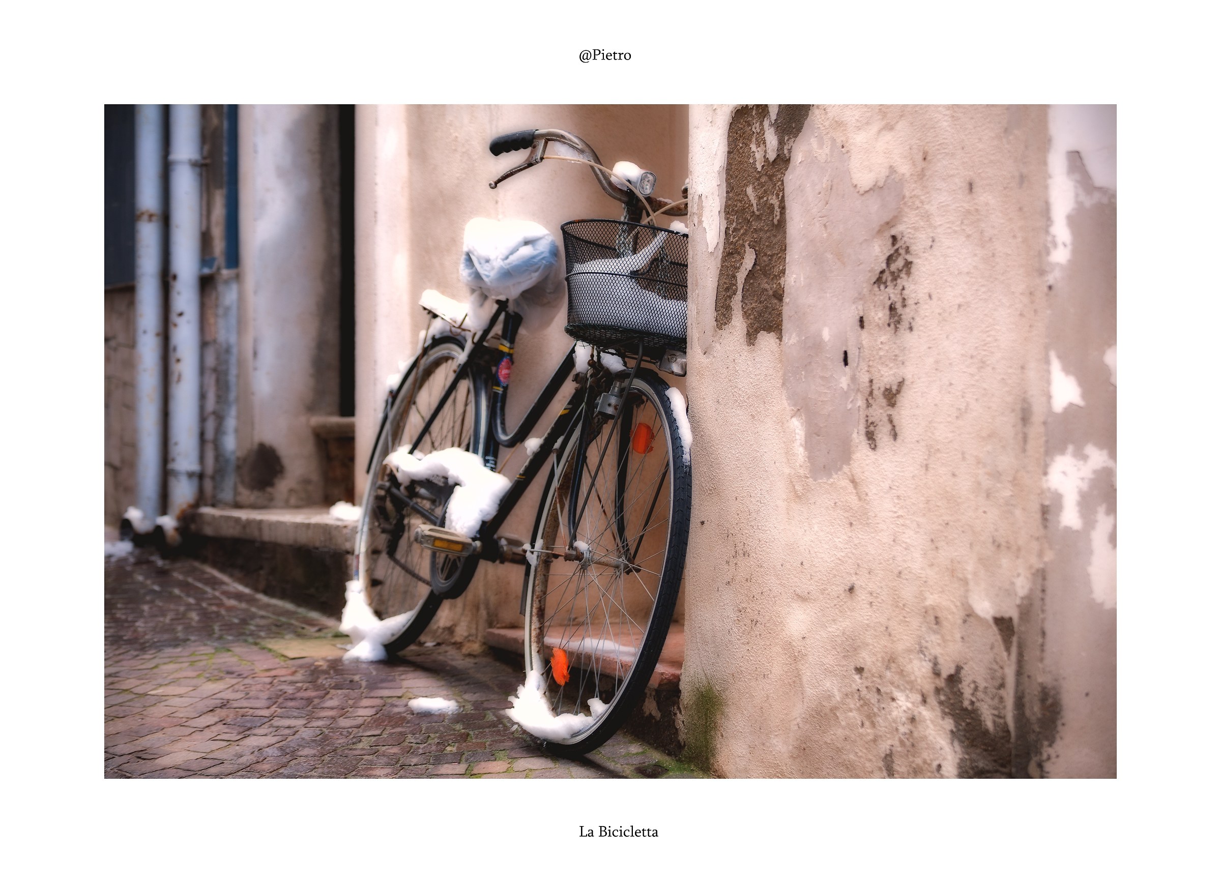 Aspettando il tiepido sole