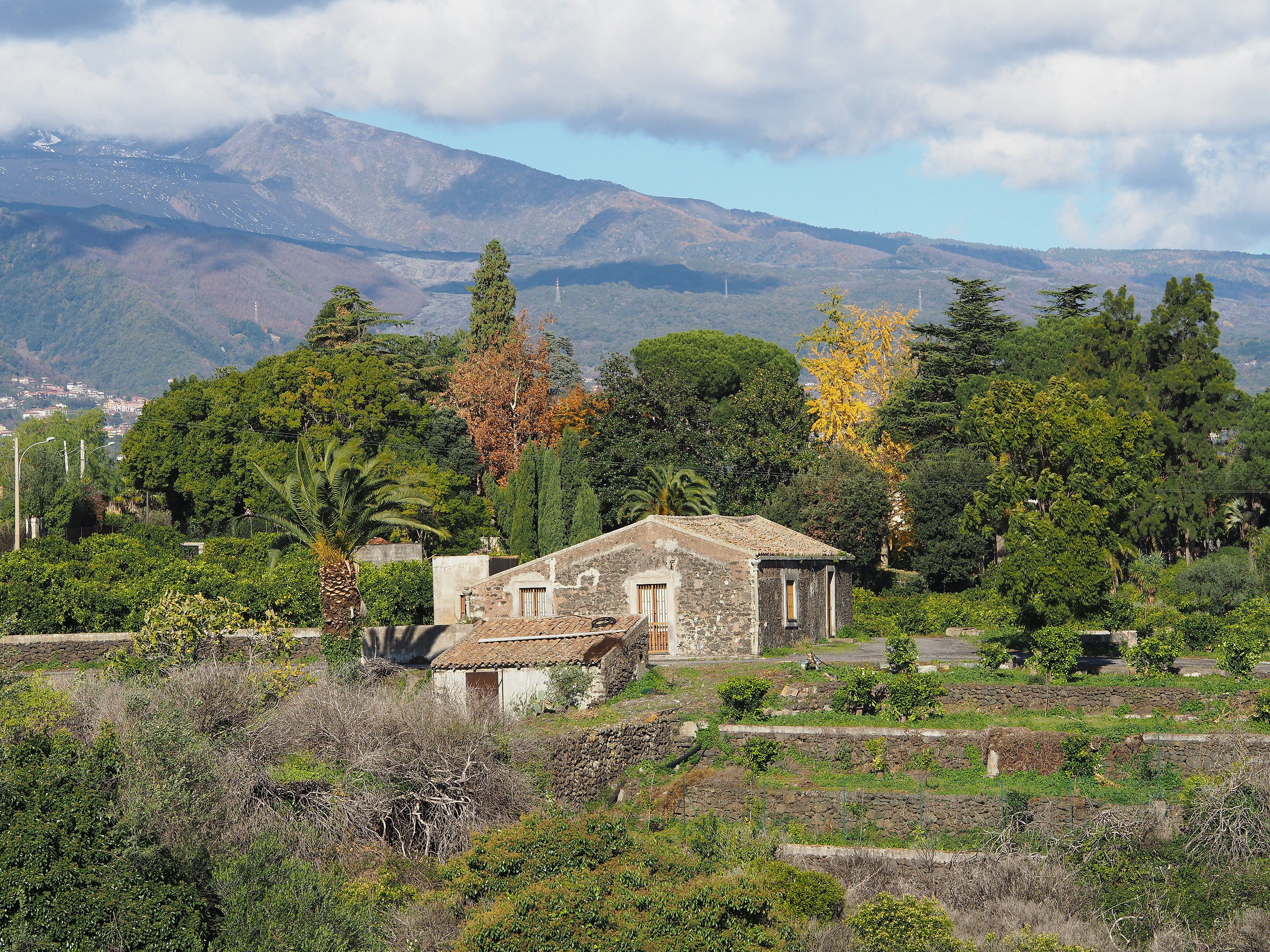 A glimpse of the slopes of the volcano