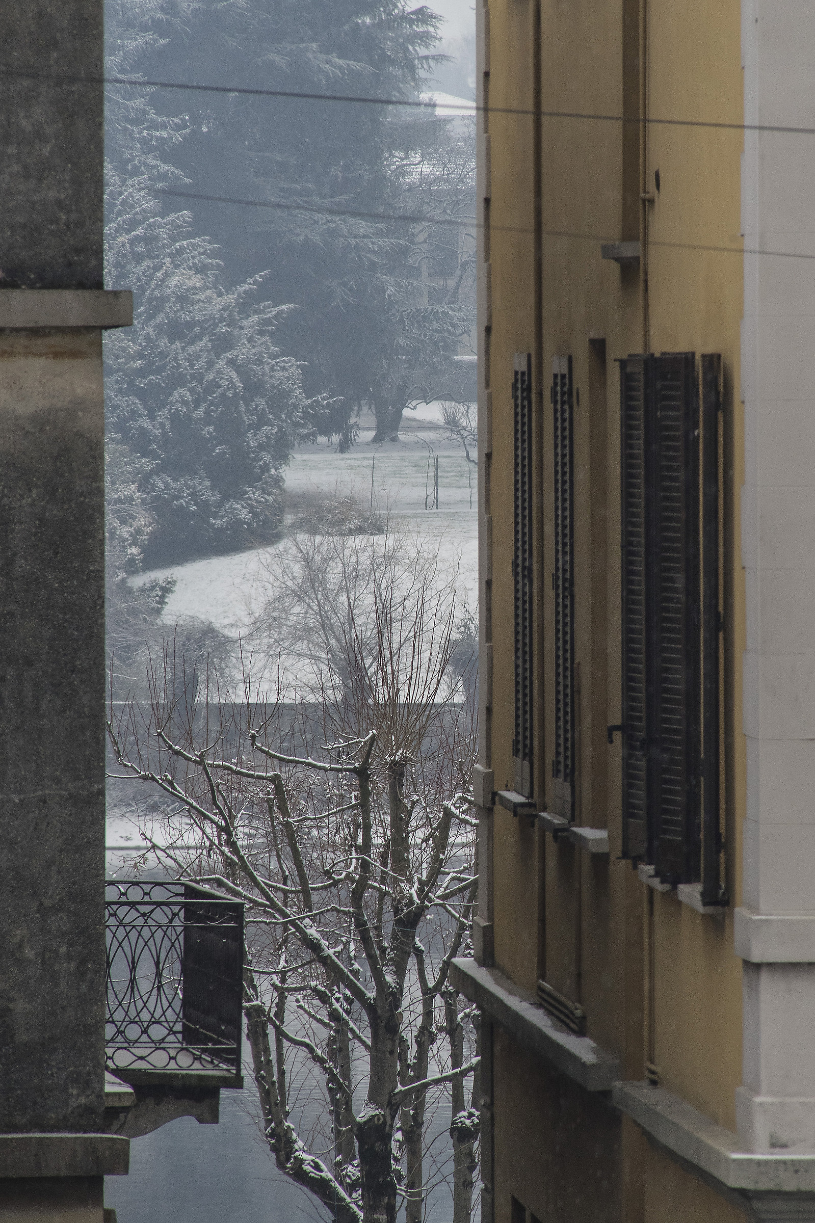 Neve di Marzo (2018) - 1