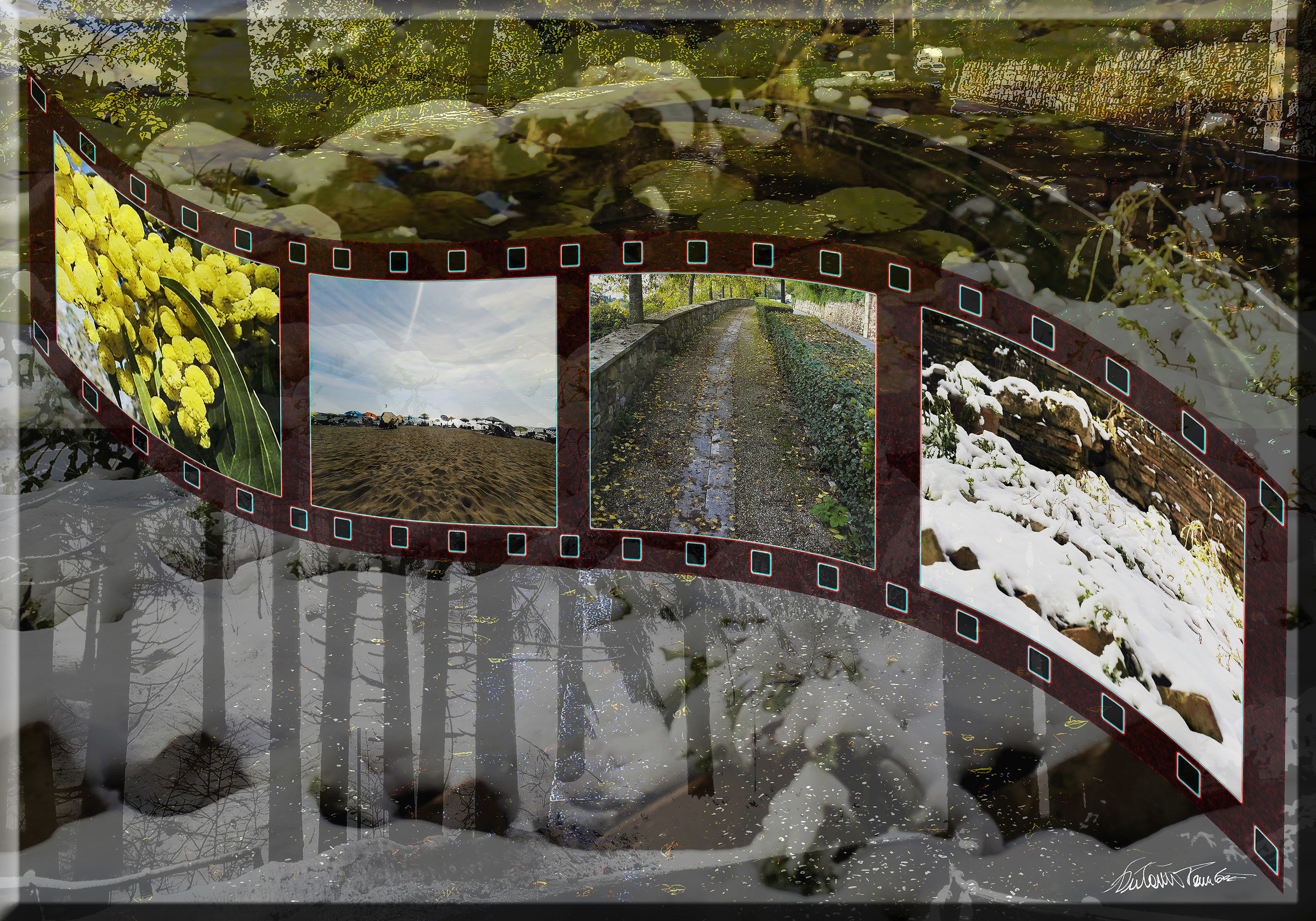 The 4 seasons, now and only a movie,