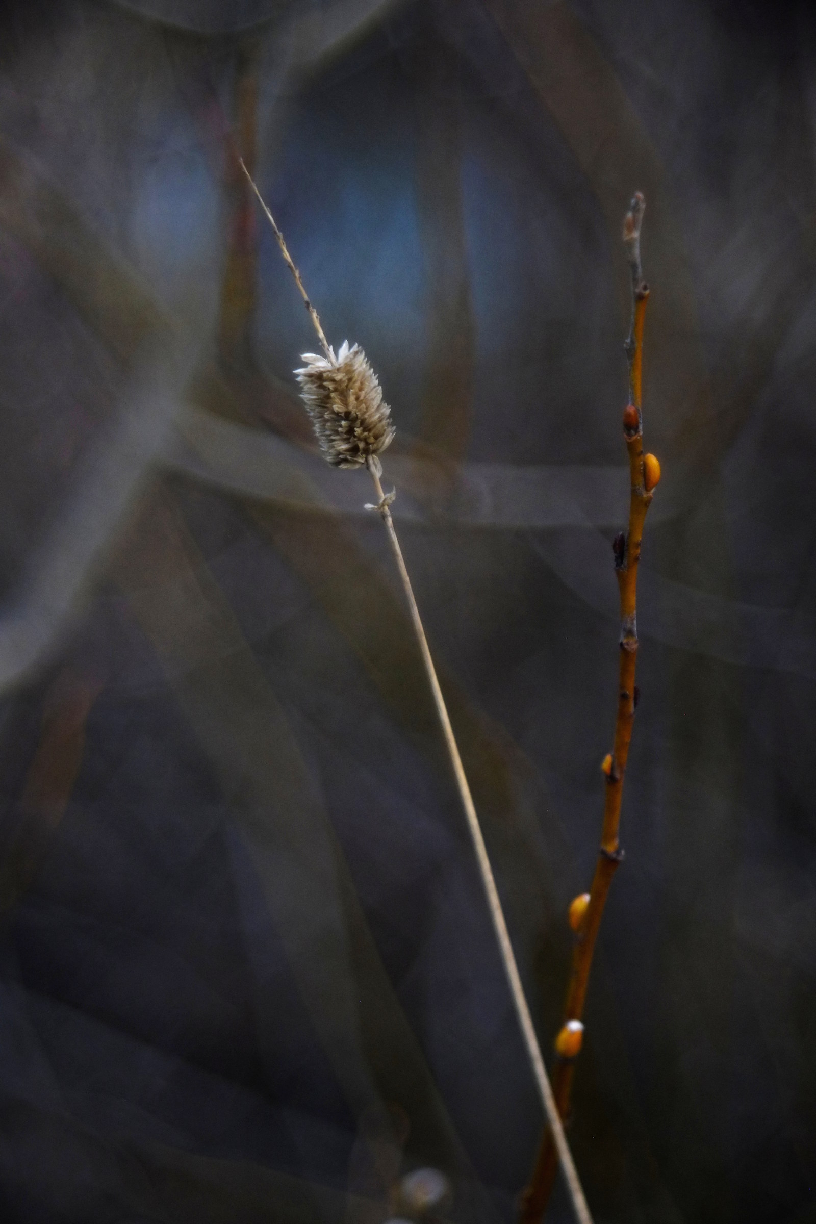 old and new, diaplan 80 2.8