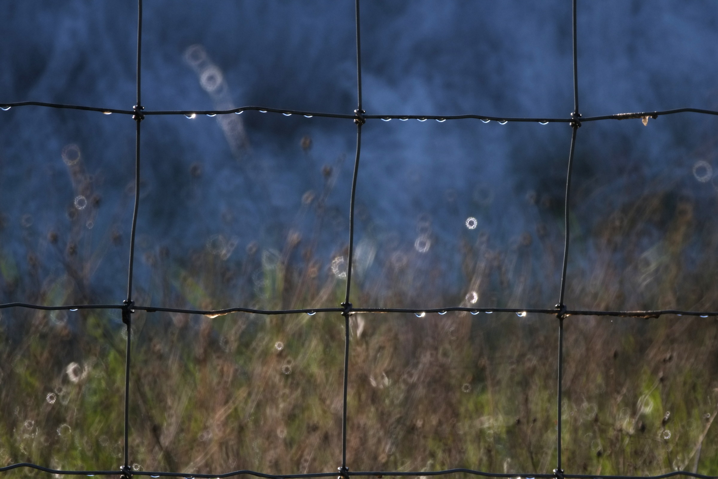 the fence, tamron 500 mirror