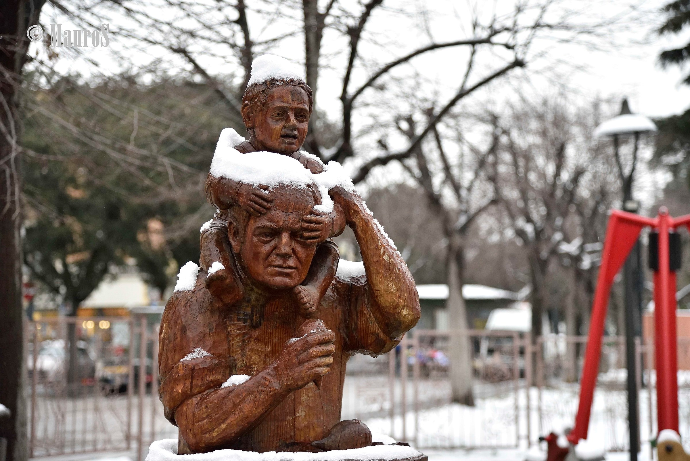 da un pino abbattuto una scultura