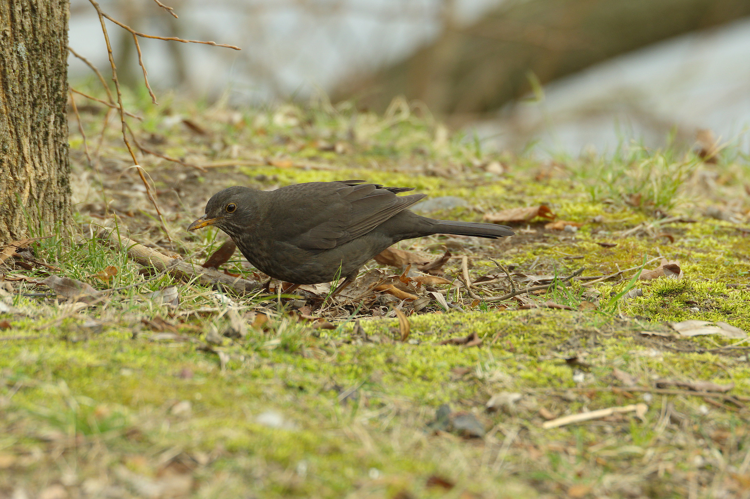 Quest'anno sei in ritardo
