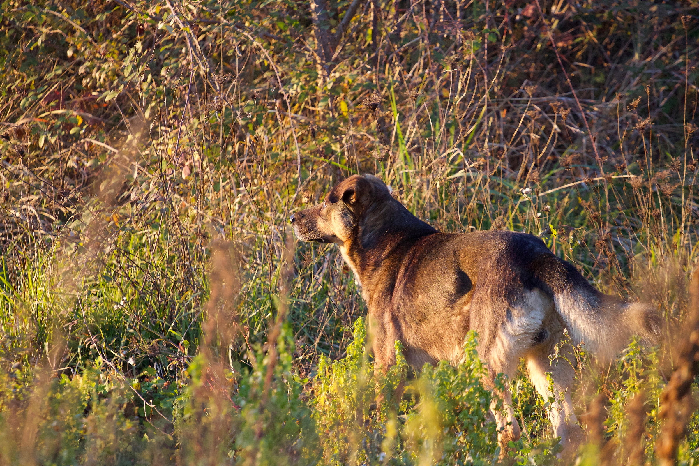 You will always be my best friend