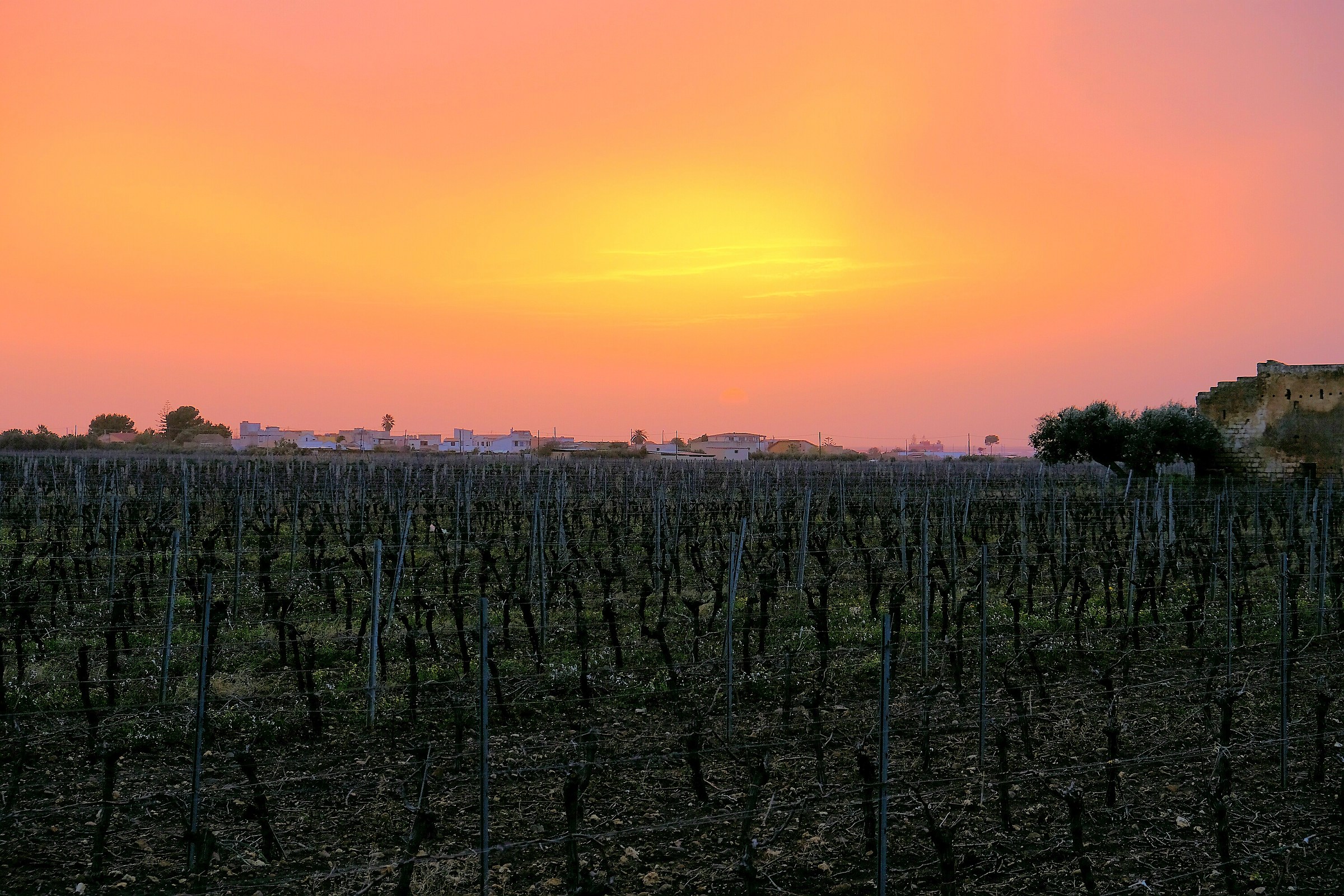 when the sirocco blows