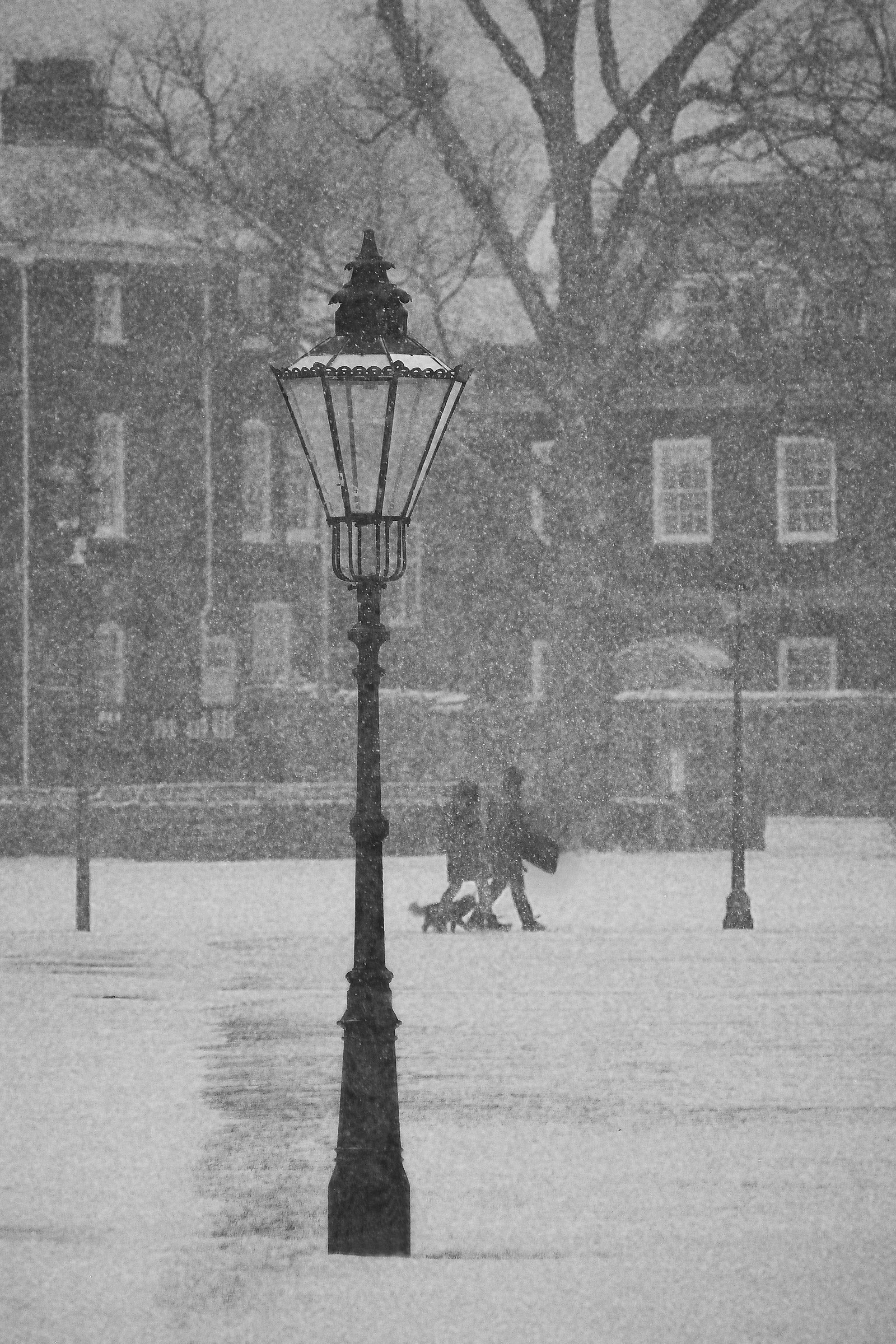 Quando la Siberia è arrivata a Salisbury: The Lamp