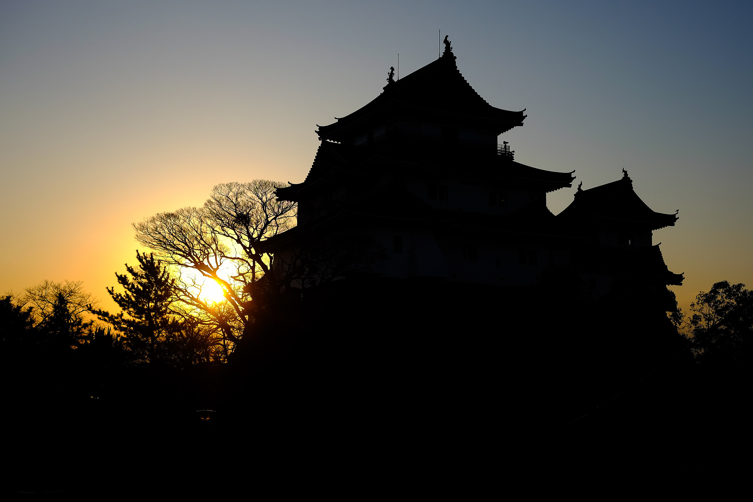 Wakayama Castle