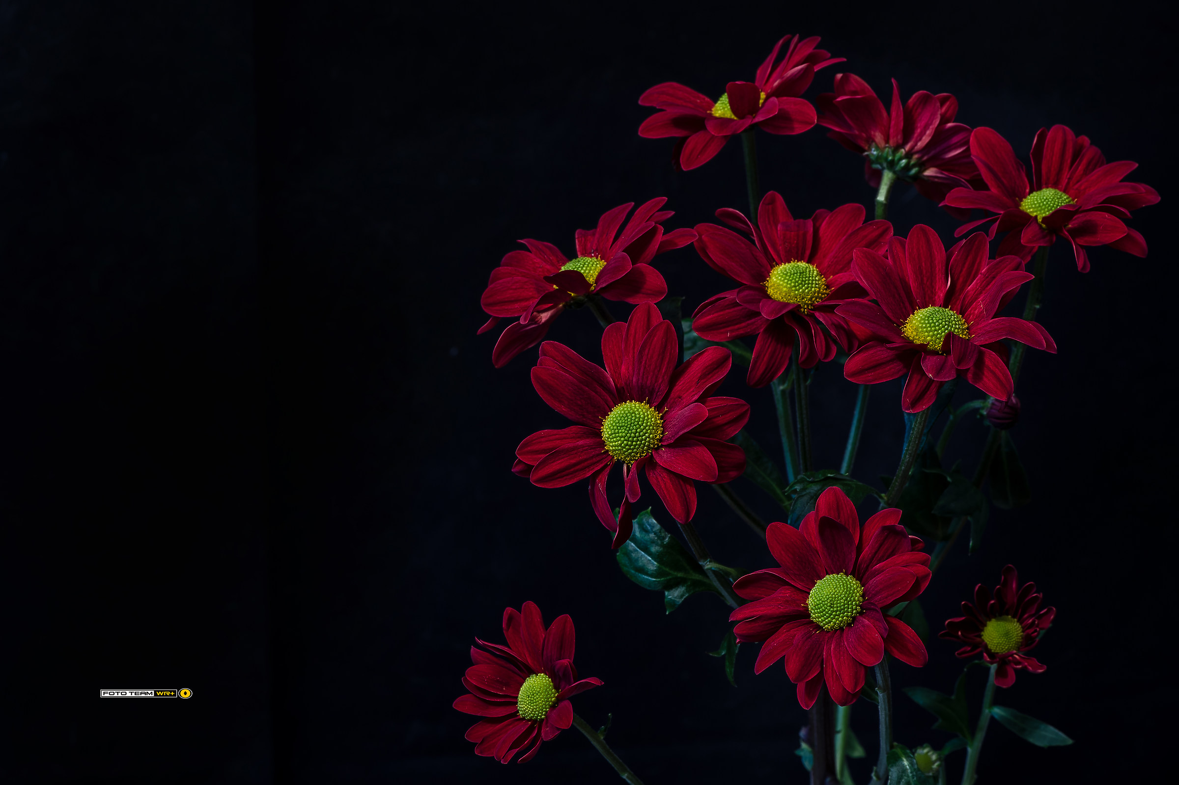 in attesa della primavera