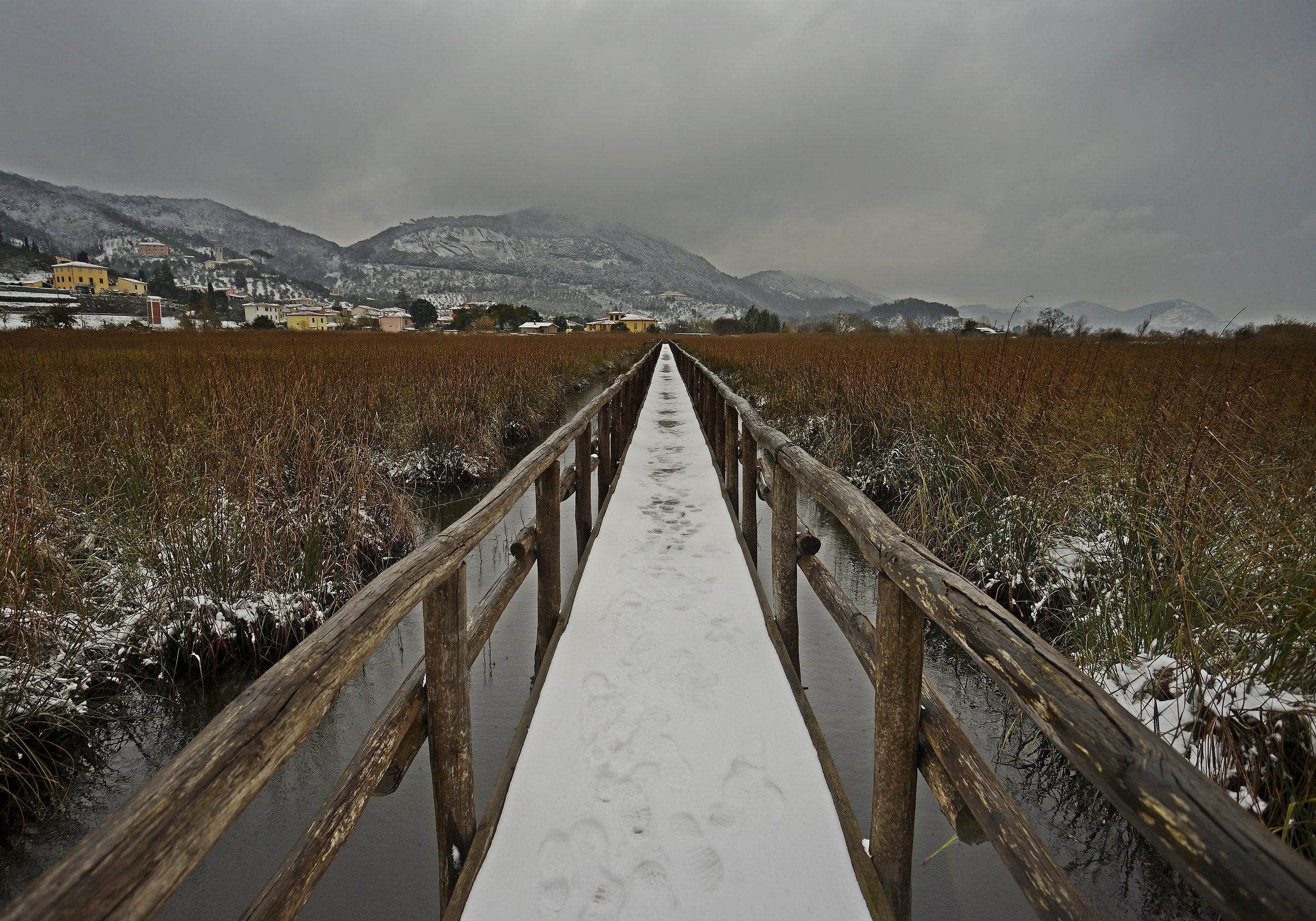Footprints on the Oasis