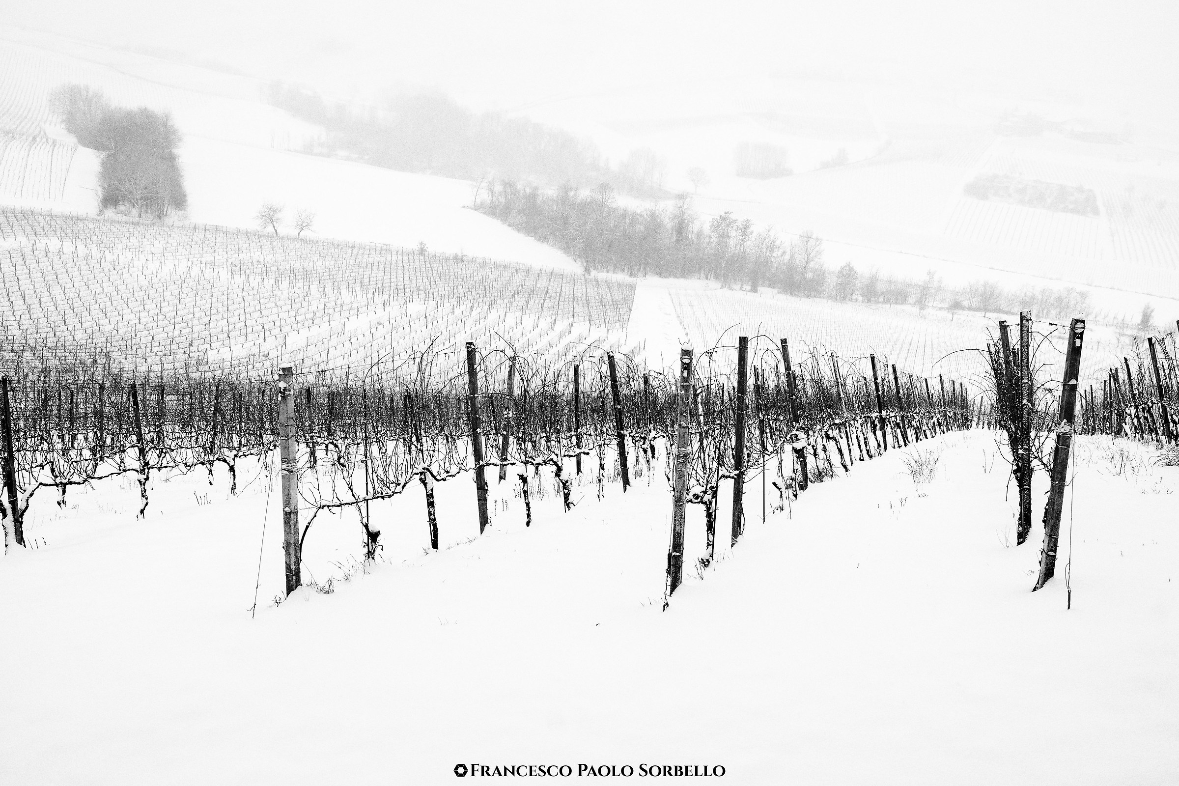 Neve in collina #1