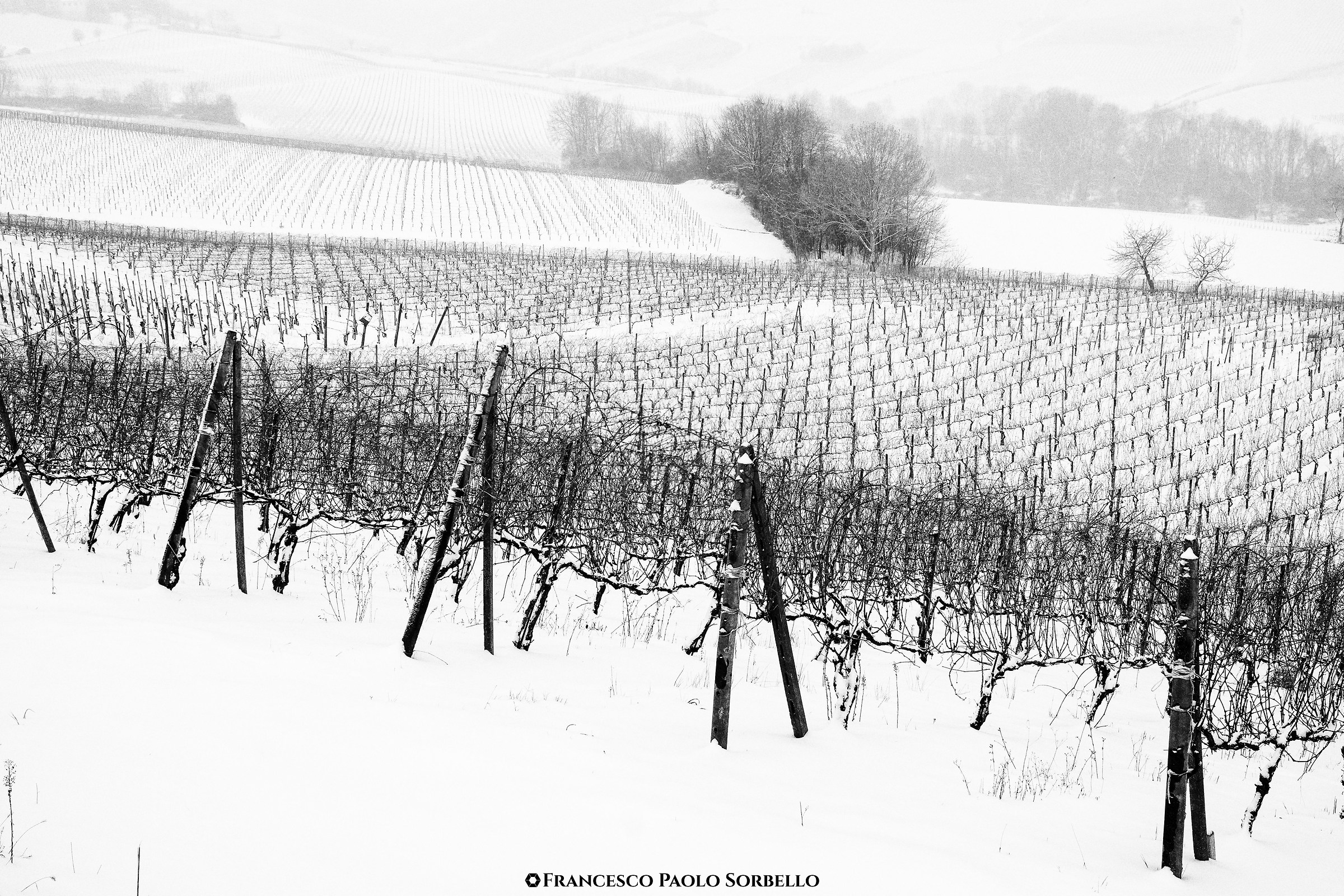 Neve in collina #3