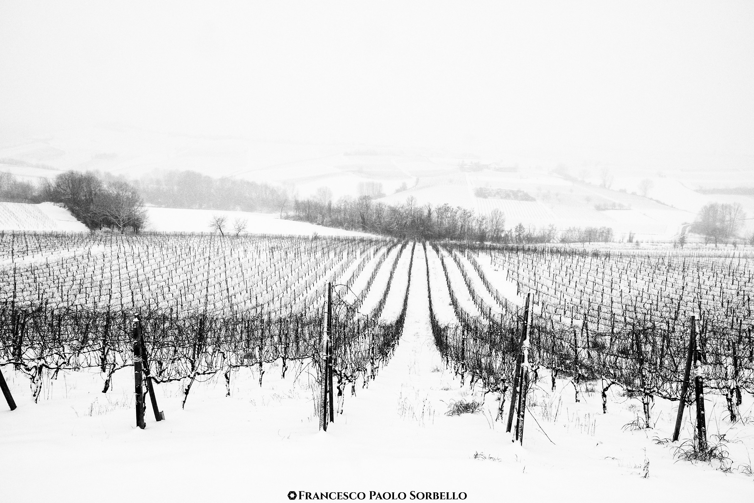 Neve in collina #4