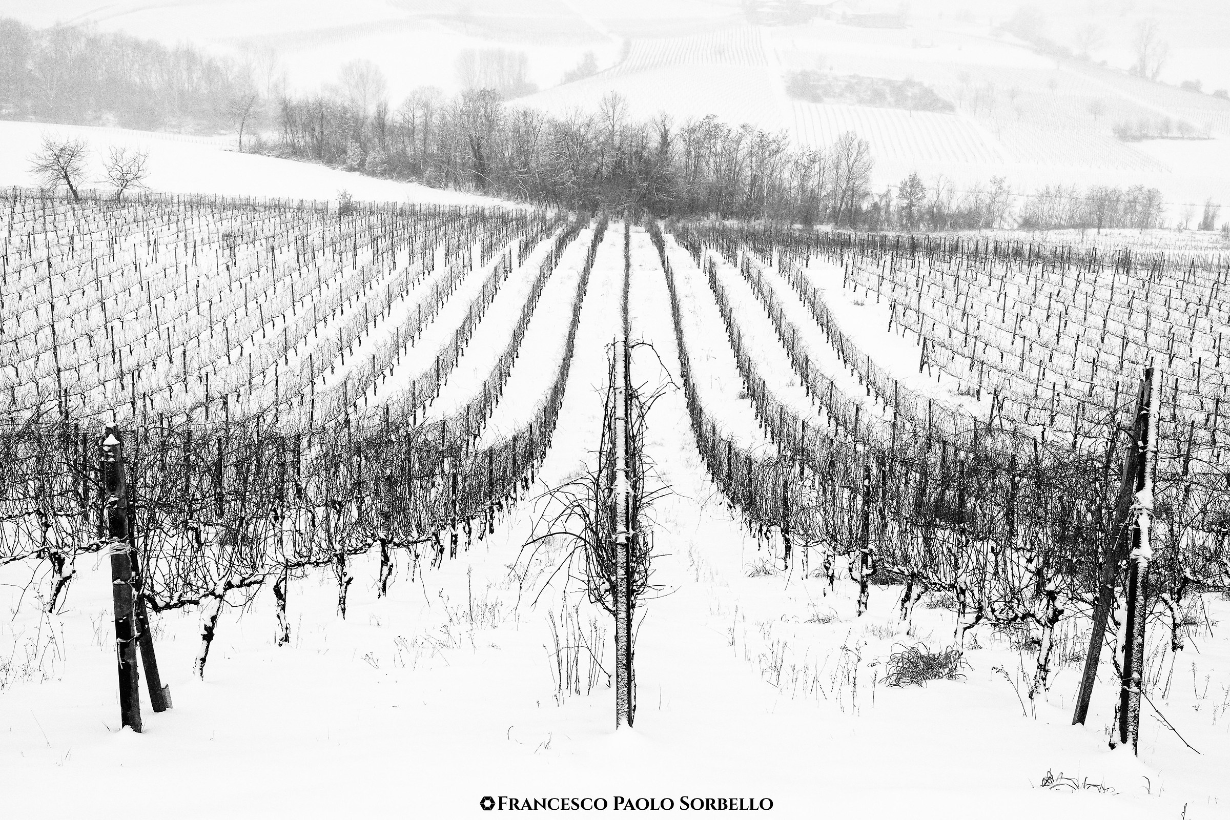 Neve in collina #5