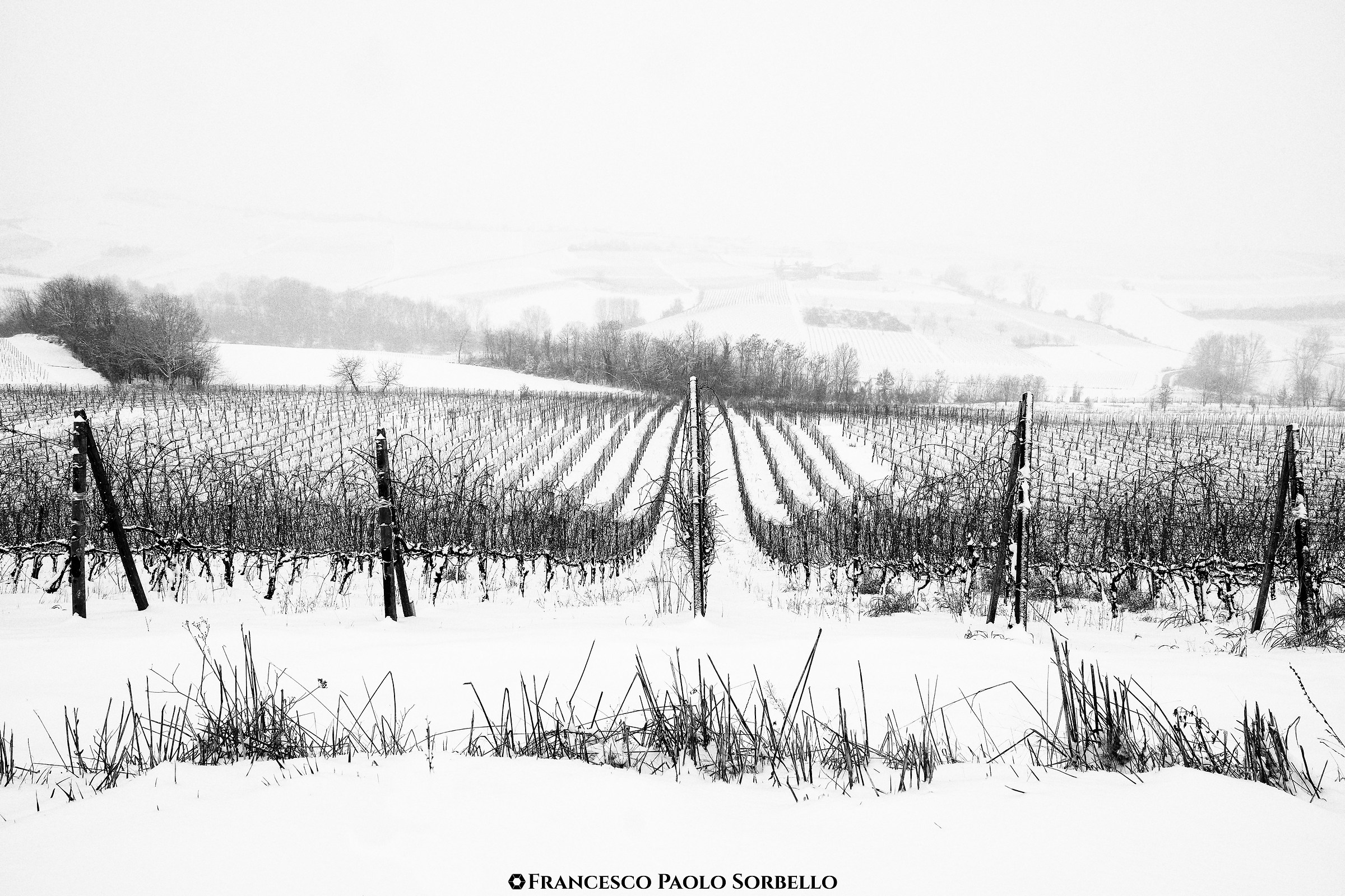 Neve in collina #6
