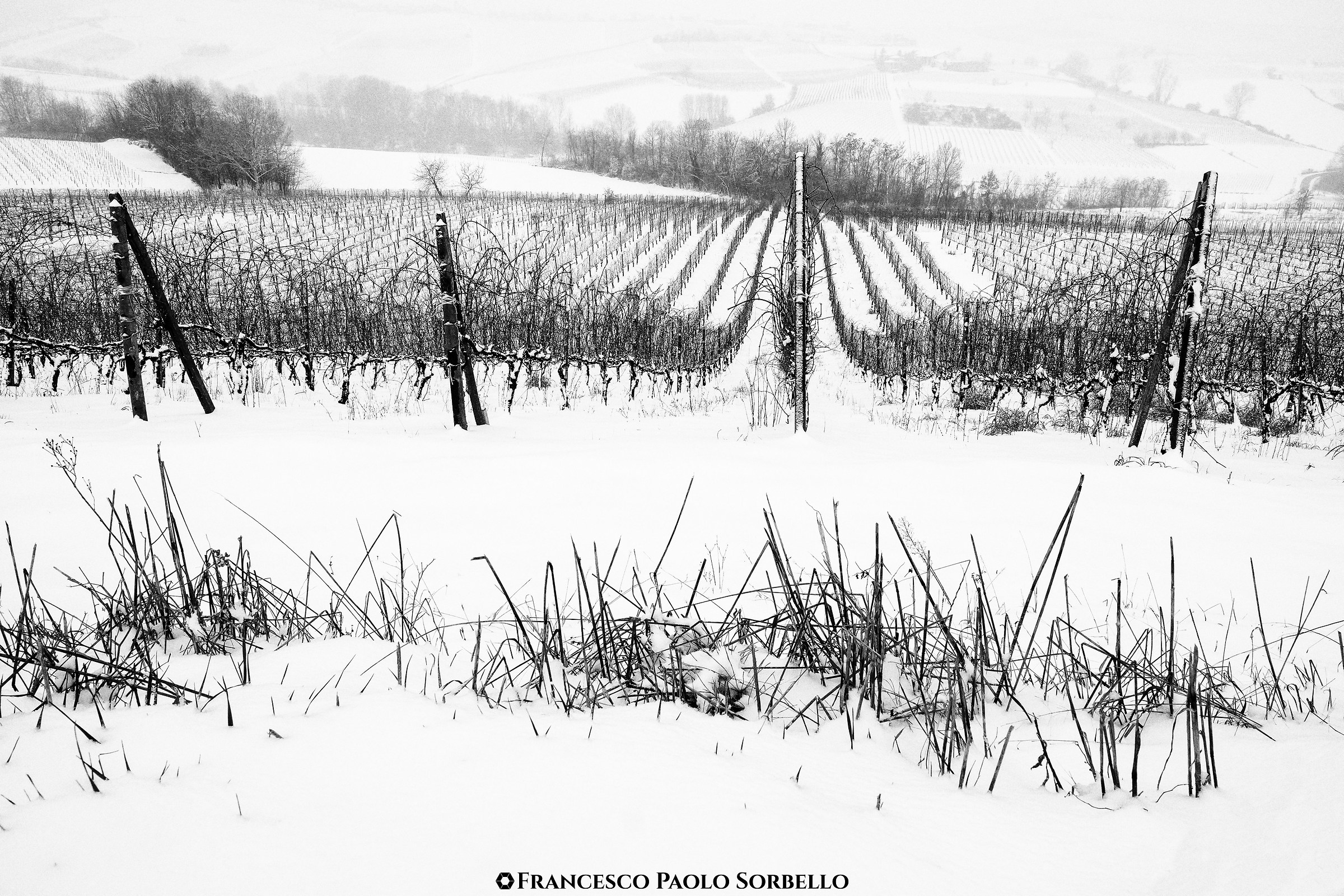 Neve in collina #8