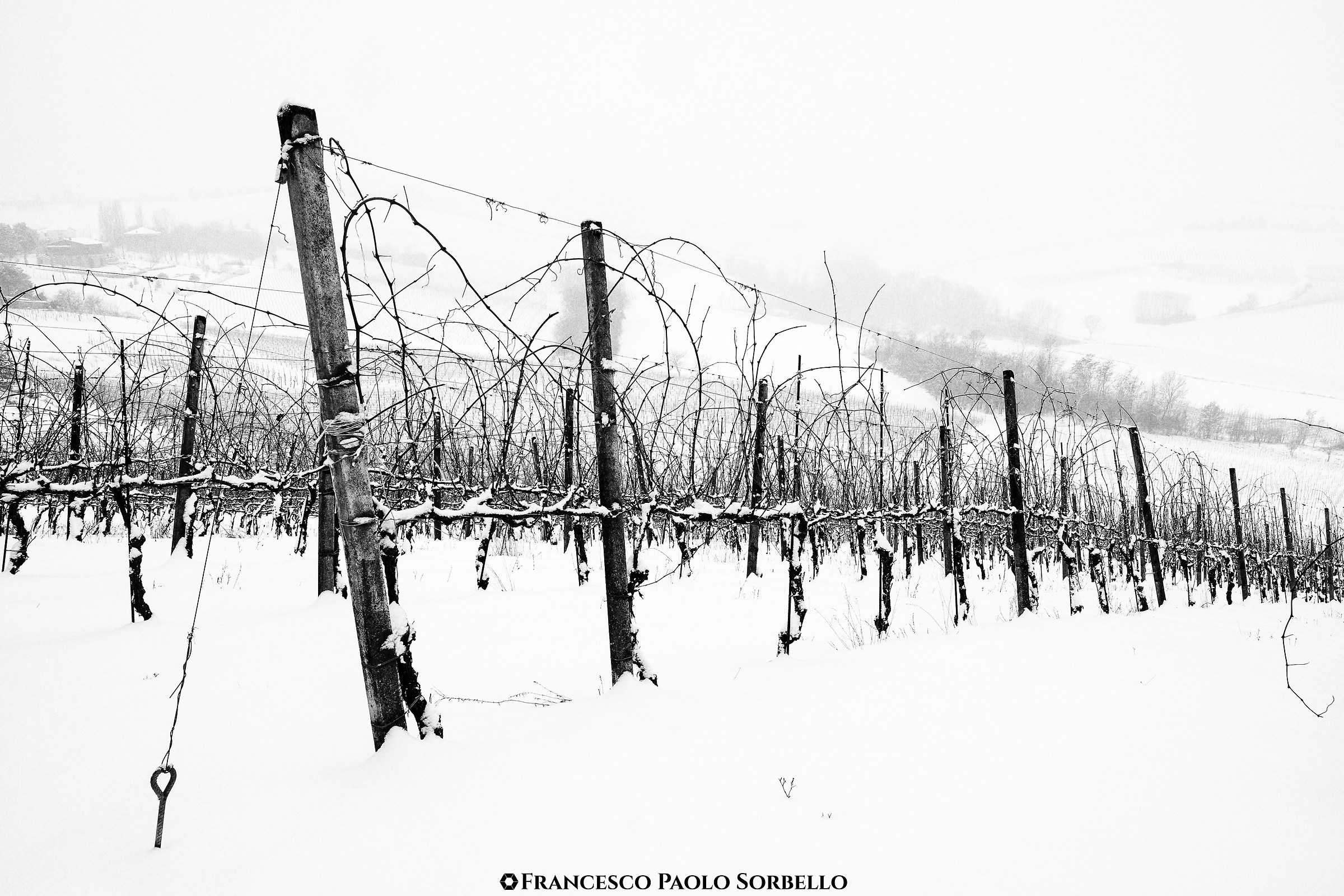 Neve in collina #9