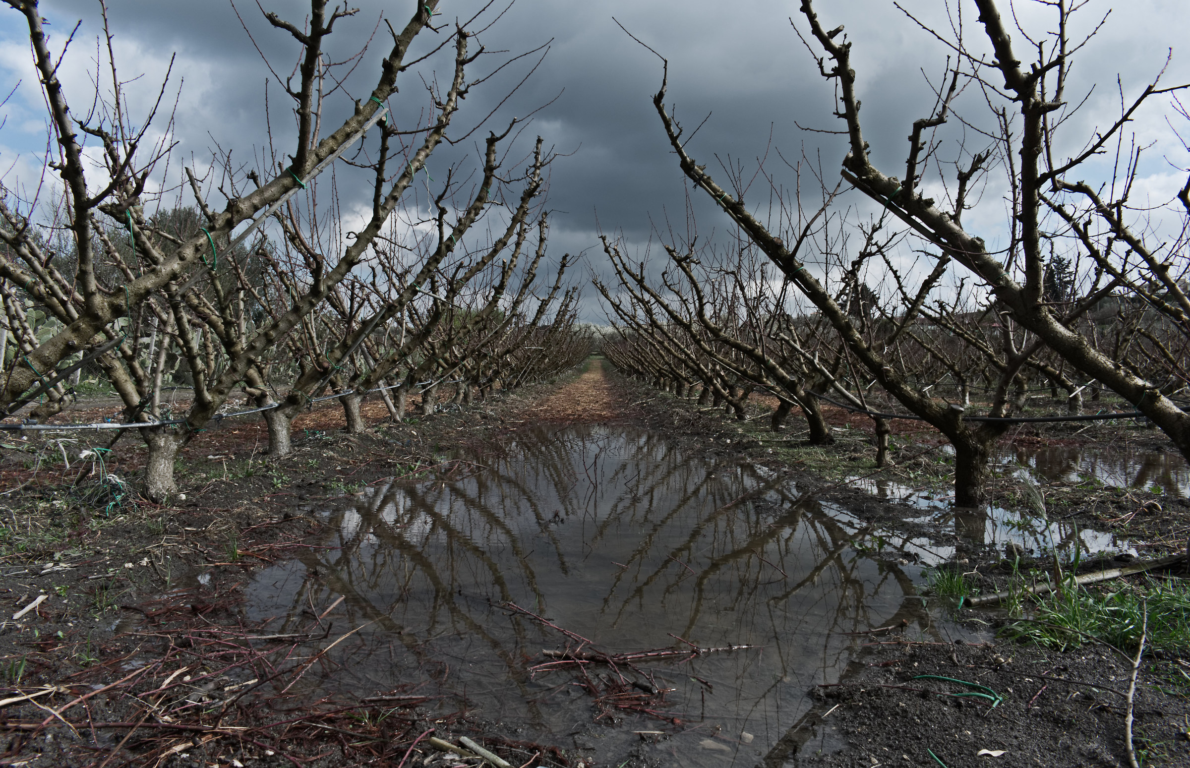 Everything is sleeping, while the weather is raging