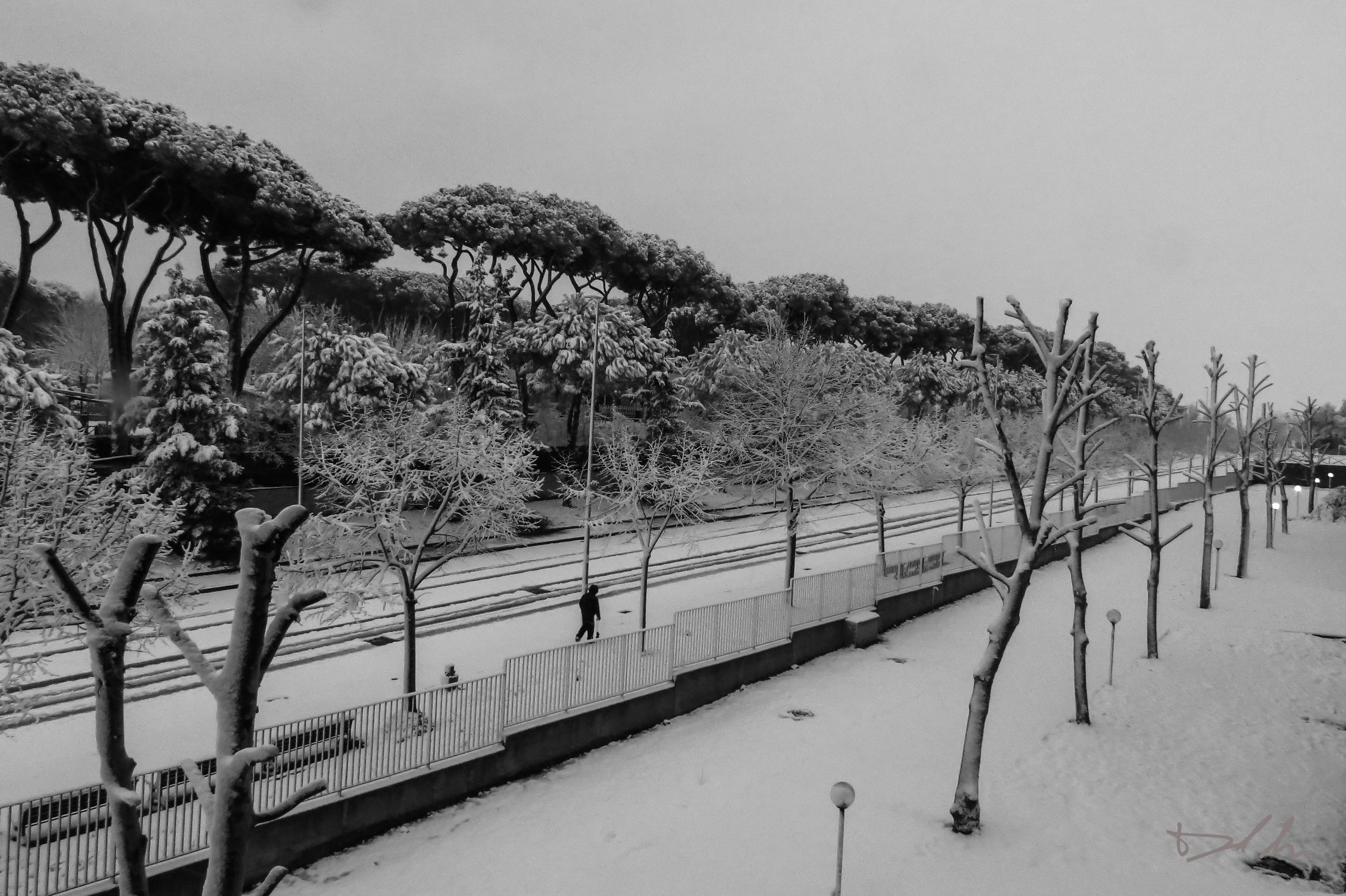 Snow in Rome b / n