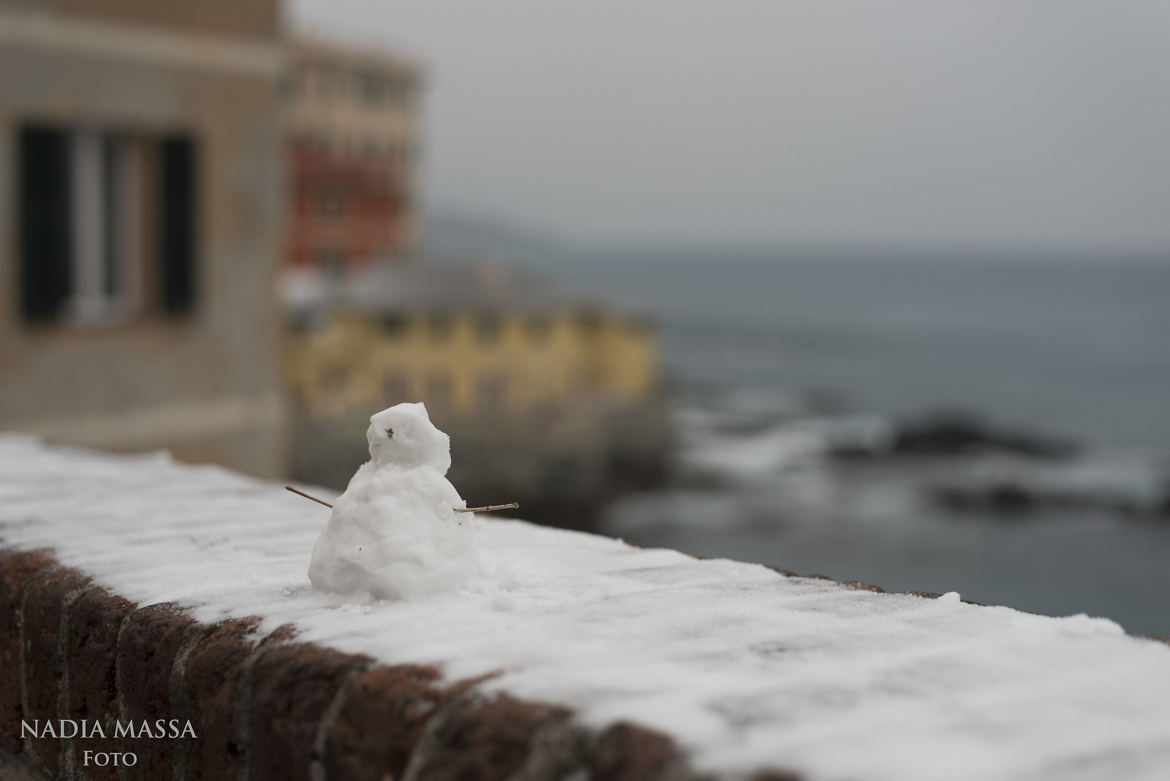 Piccolo Olaf a Boccadasse