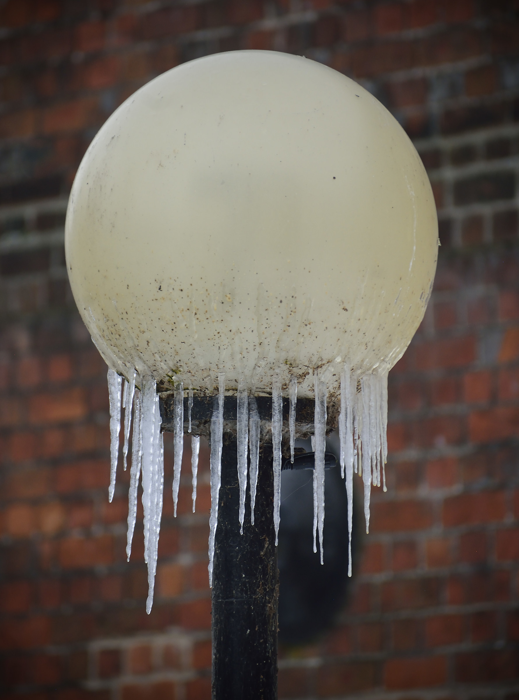 Quando la Siberia è arrivata a Salisbury - The Jellyf...