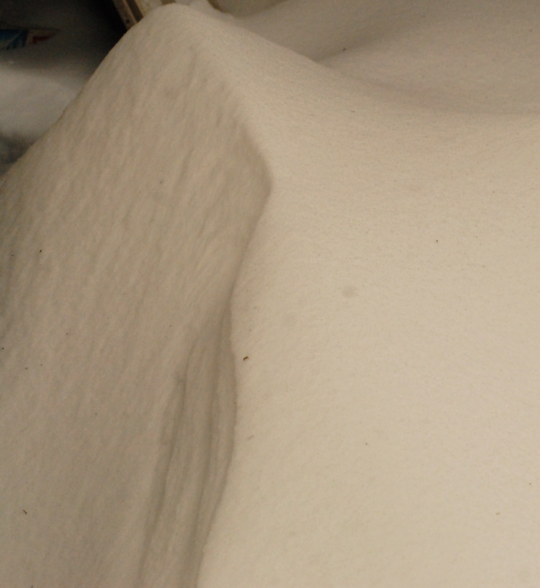 in front of the door of the house