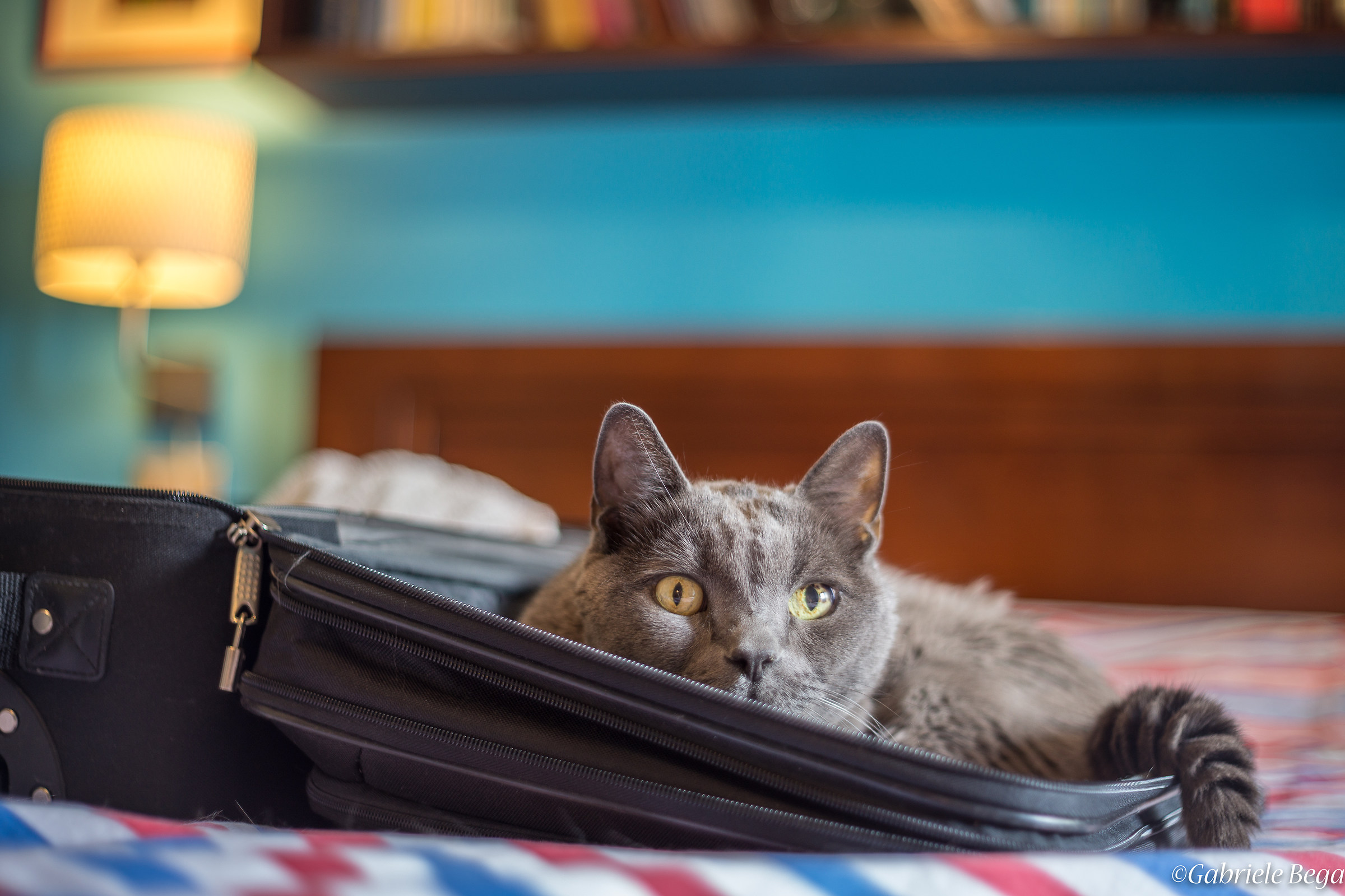 Non riuscirai a partire :-)