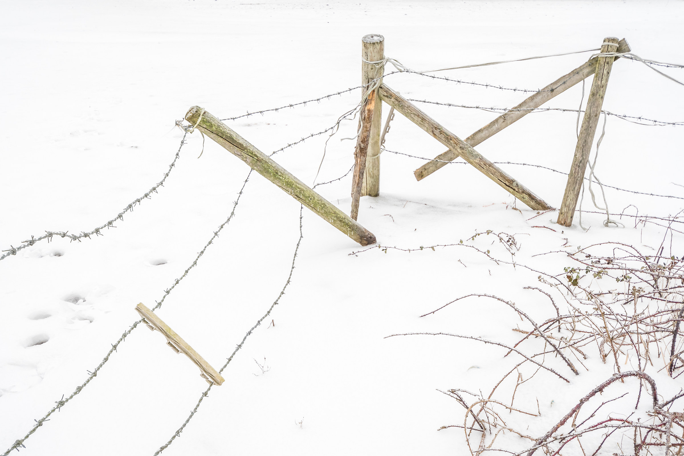 Beauty Is In The Eye Of The Beholder