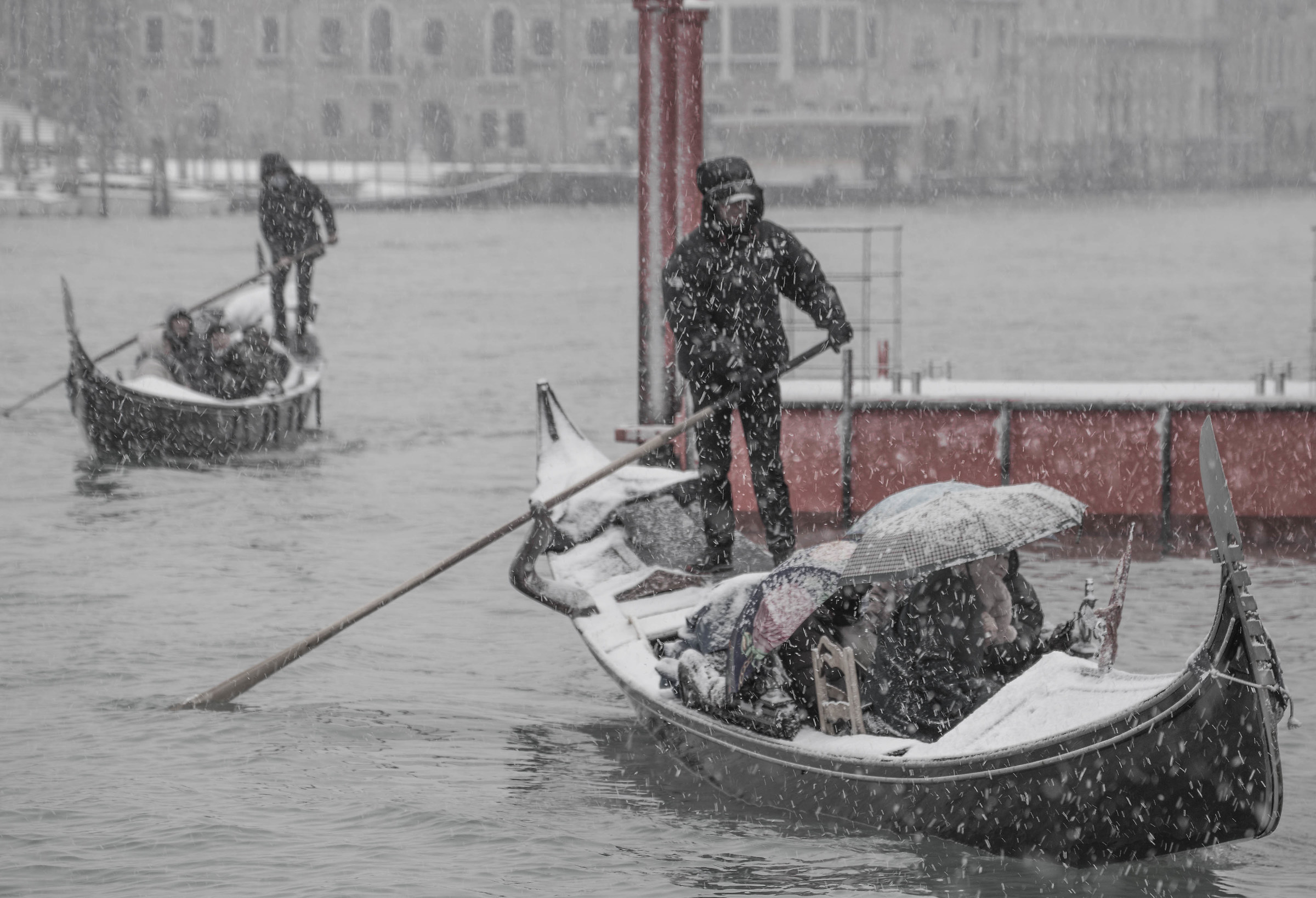 In Venice .... a white and red march