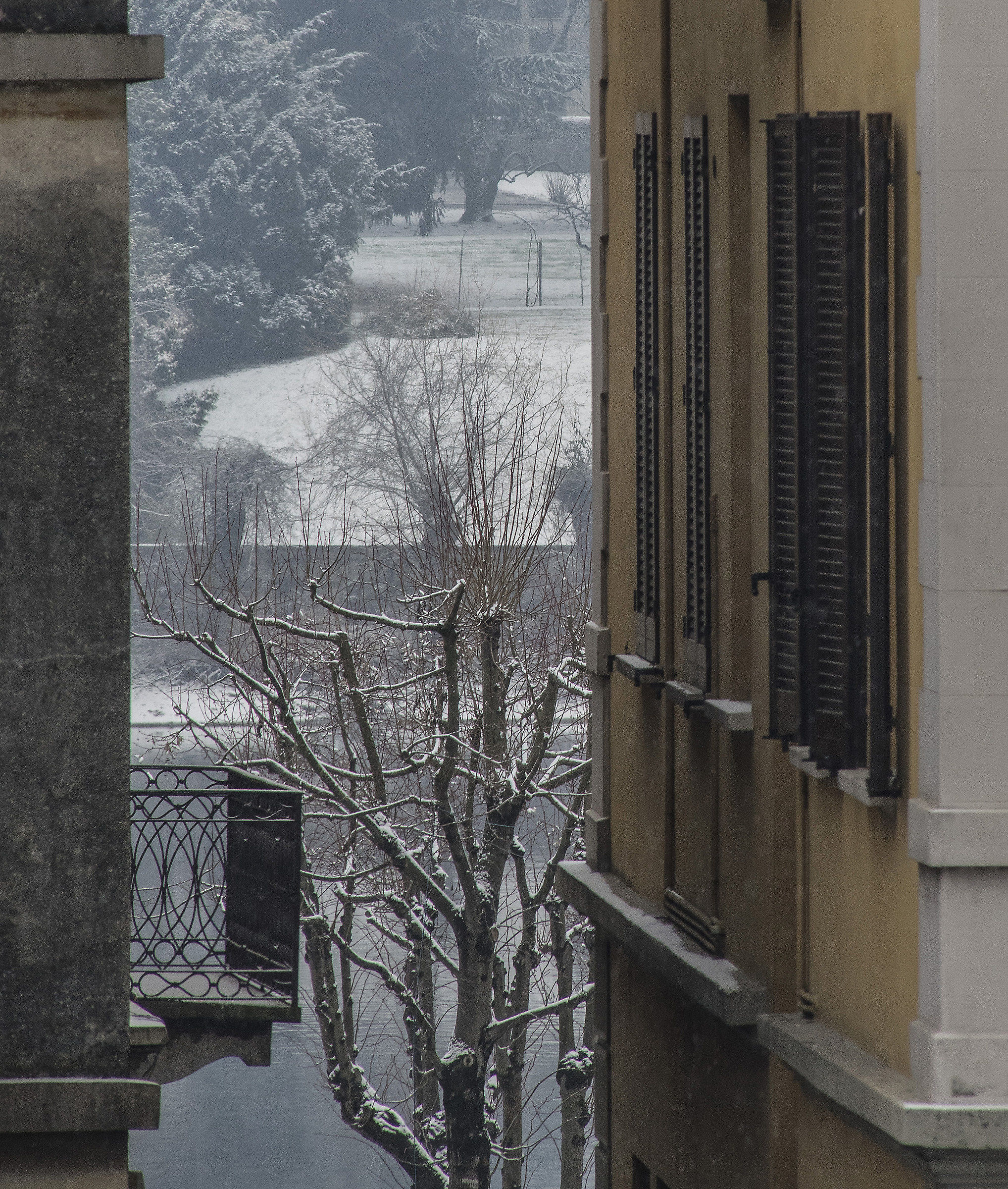 Snow of March (2018) - 2