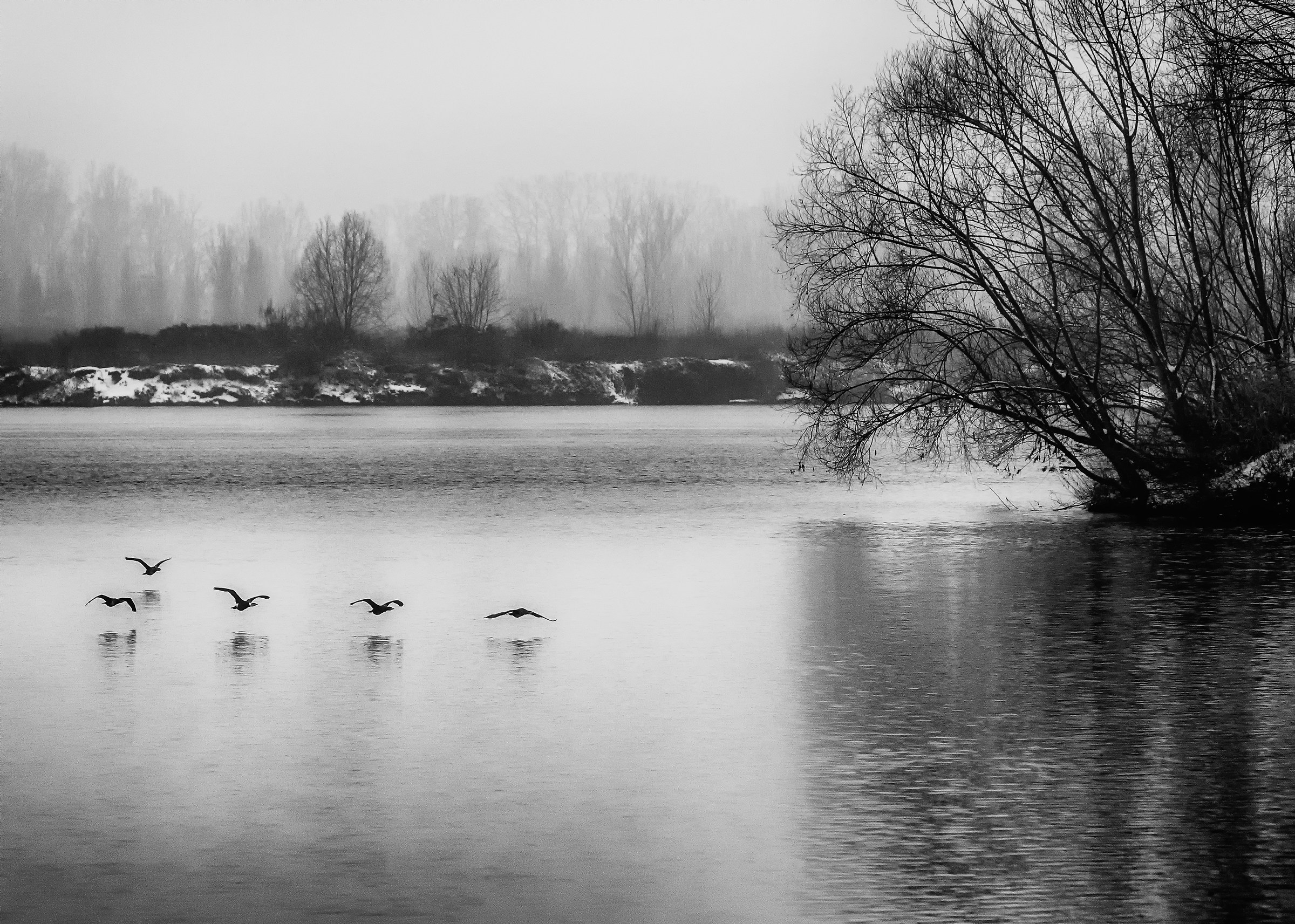 In una fredda giornata di marzo