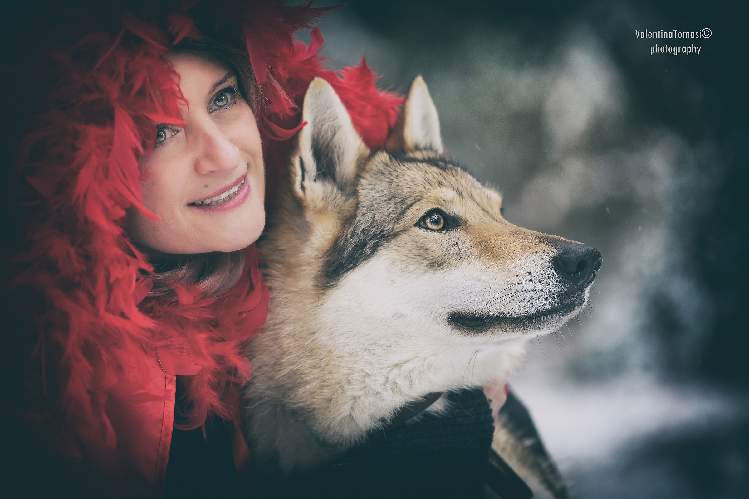 Little Red Riding Hood and the Wolf