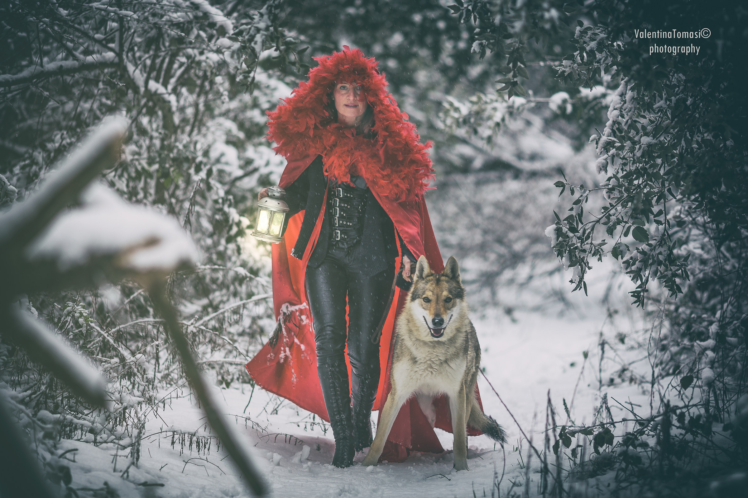 Little Red Riding Hood and the Wolf