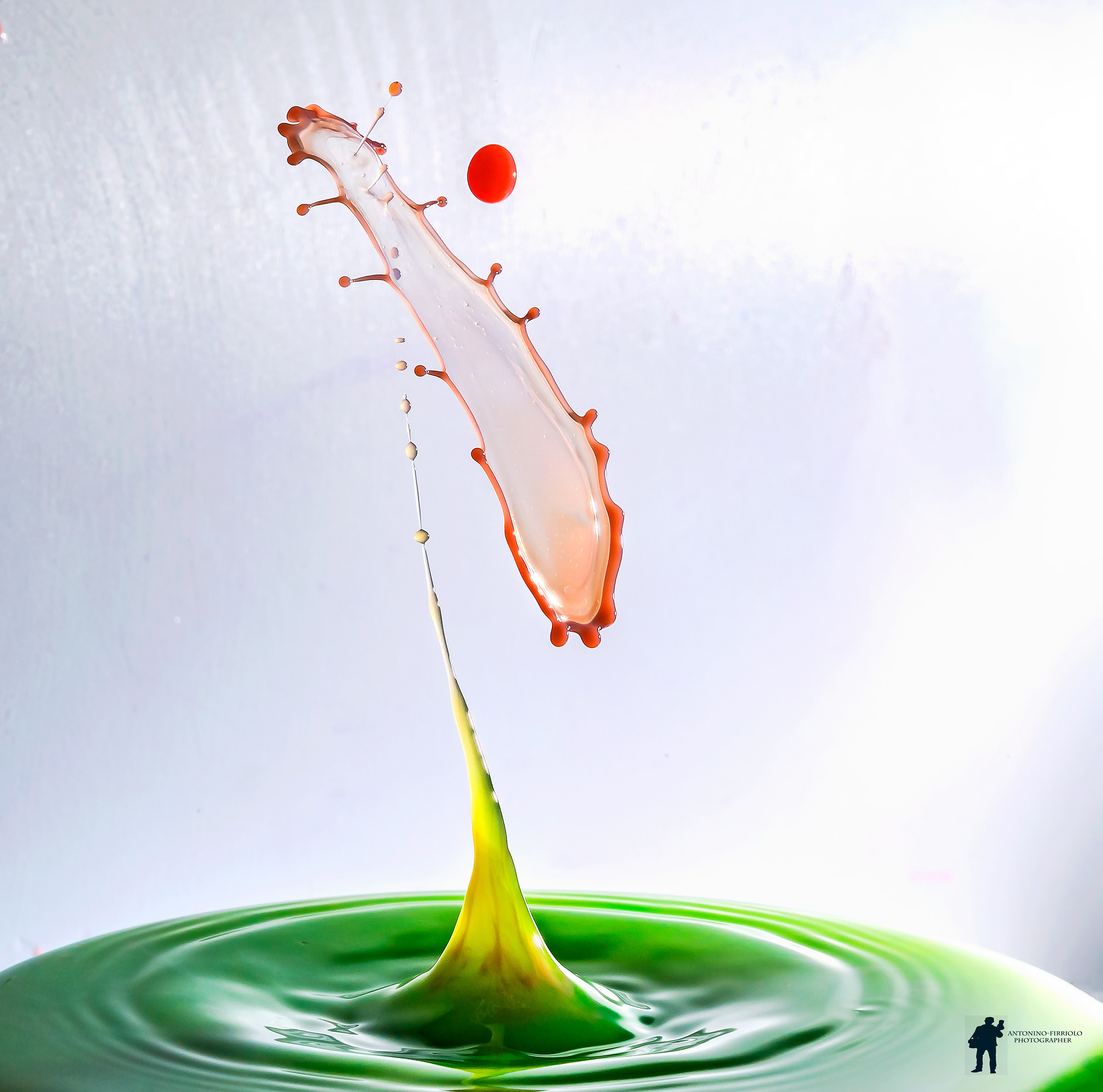 Drop Art. "Omaggio Floreale".