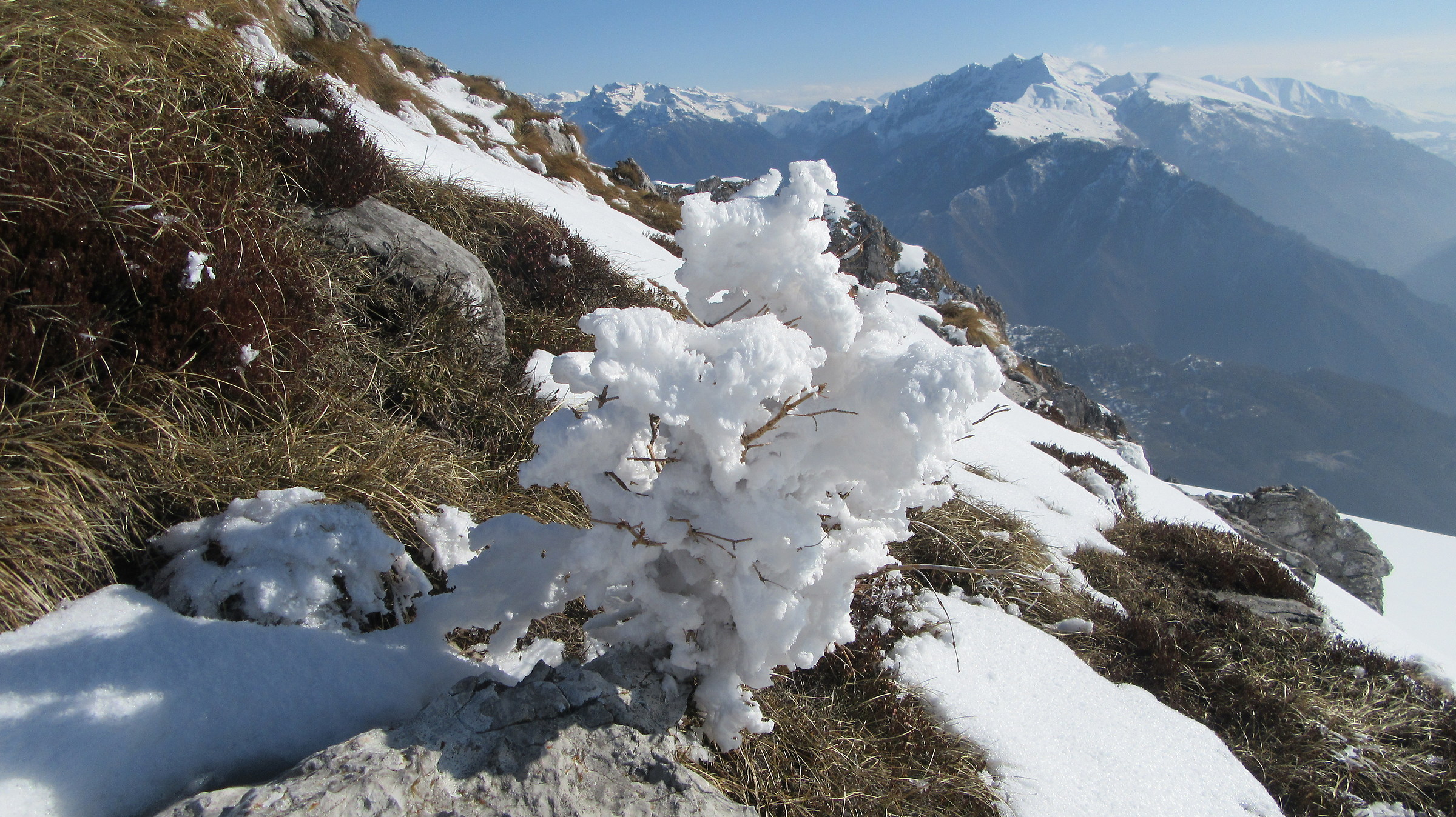 Il cotone del ....Buran