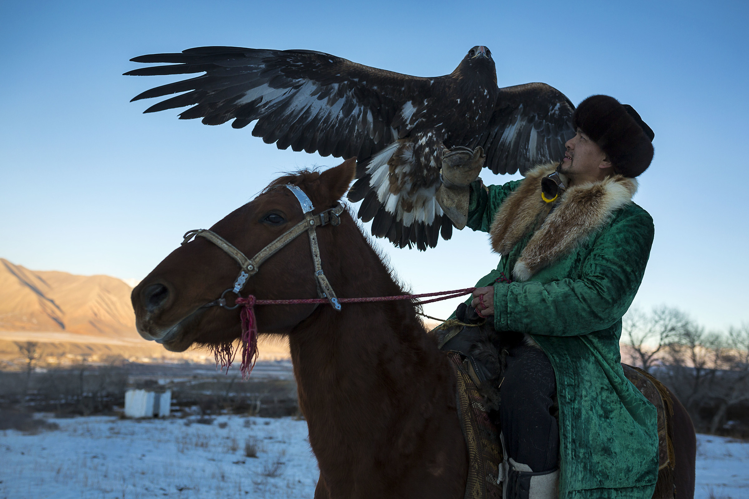 kyrgyz eagle hunter