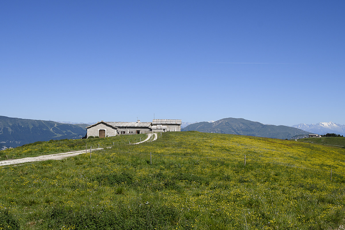 Malga Campo Retratto