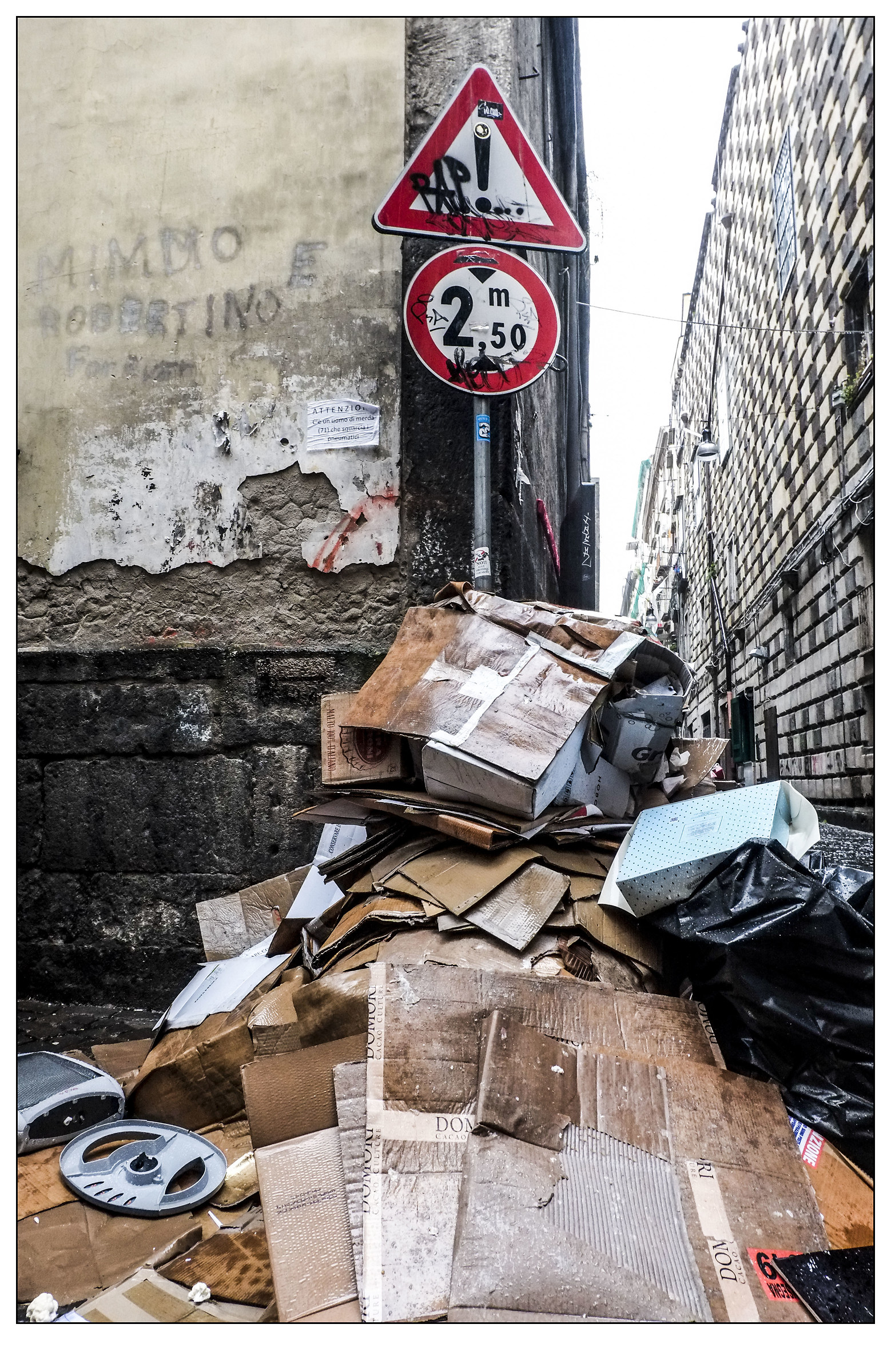 -Altezza massima 2,5 metri...mi raccomando!-