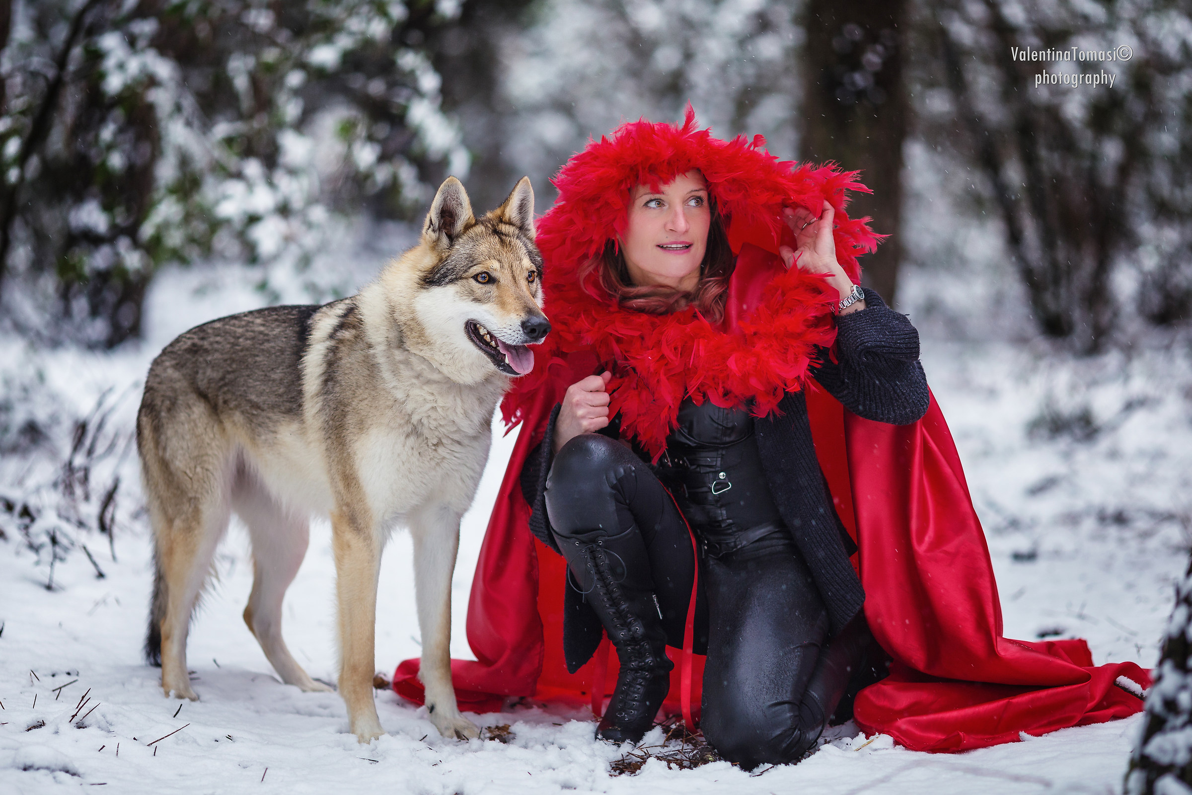 Little Red Riding Hood and the Wolf