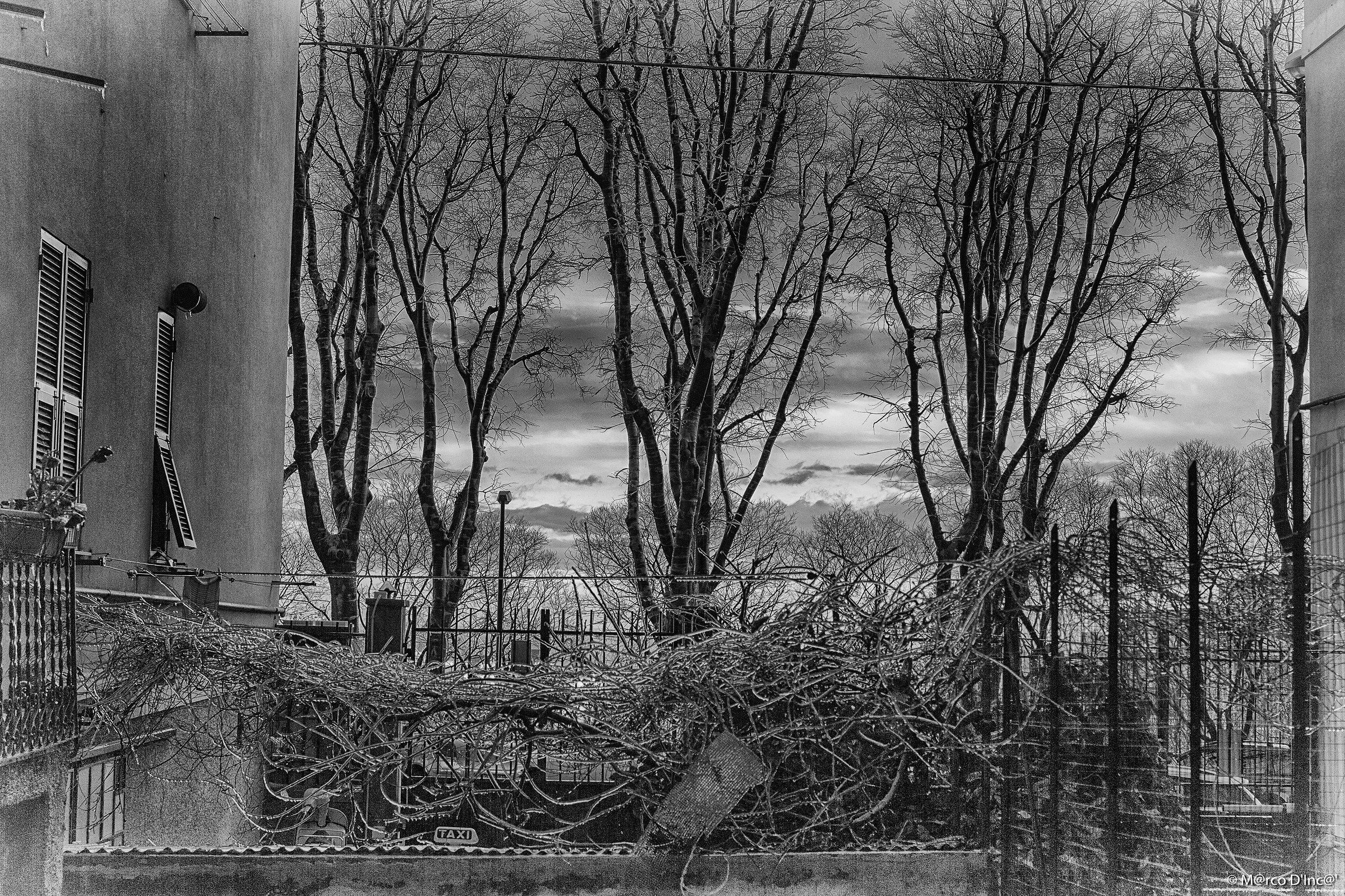 Brrr that cold ... in BN