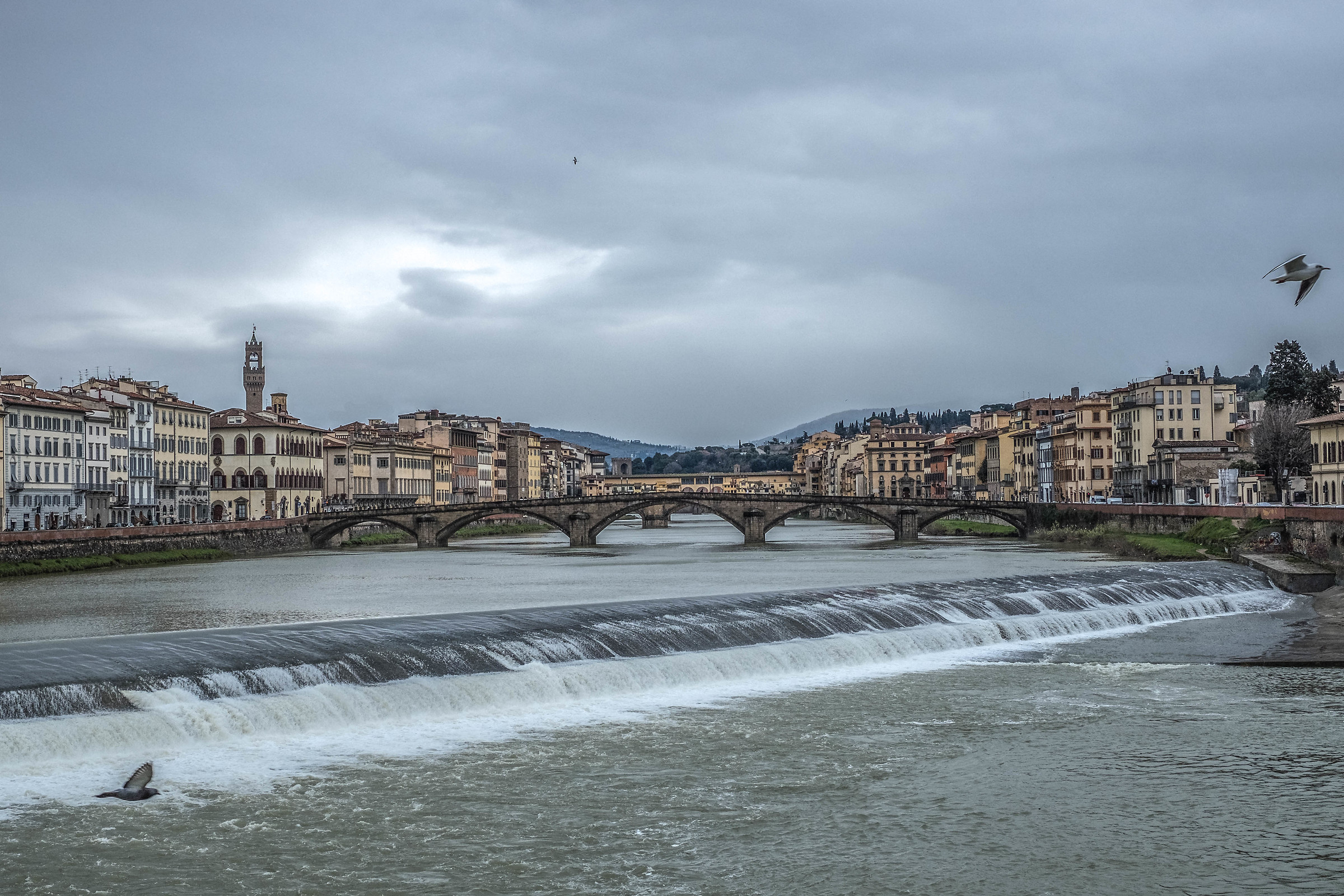 Firenze