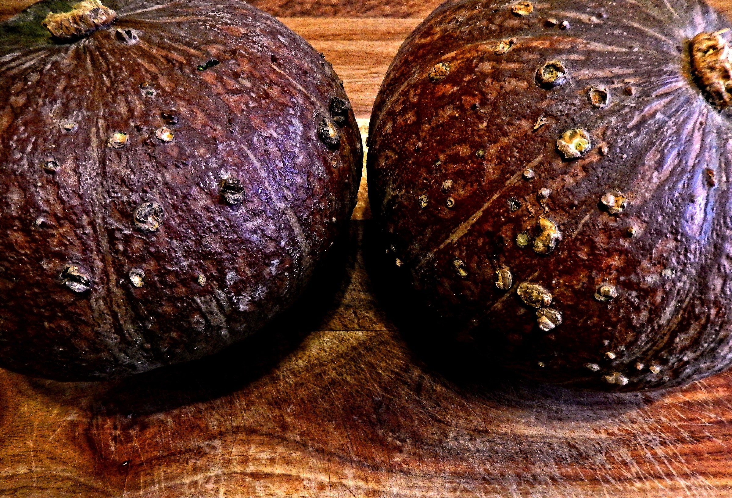 what pumpkins guys !! ...