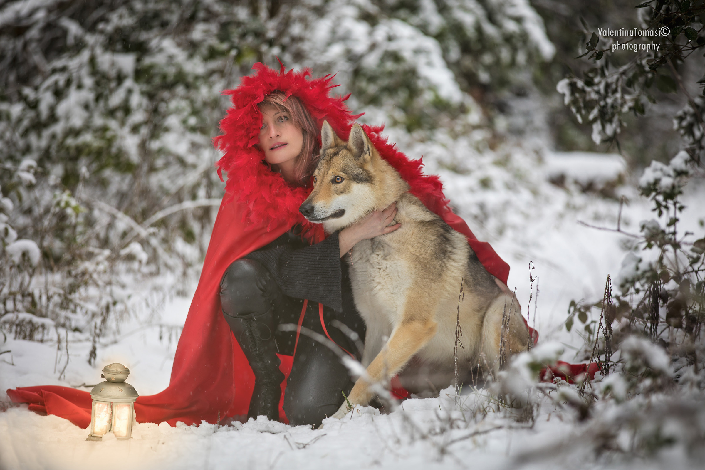 Little Red Riding Hood and the Wolf